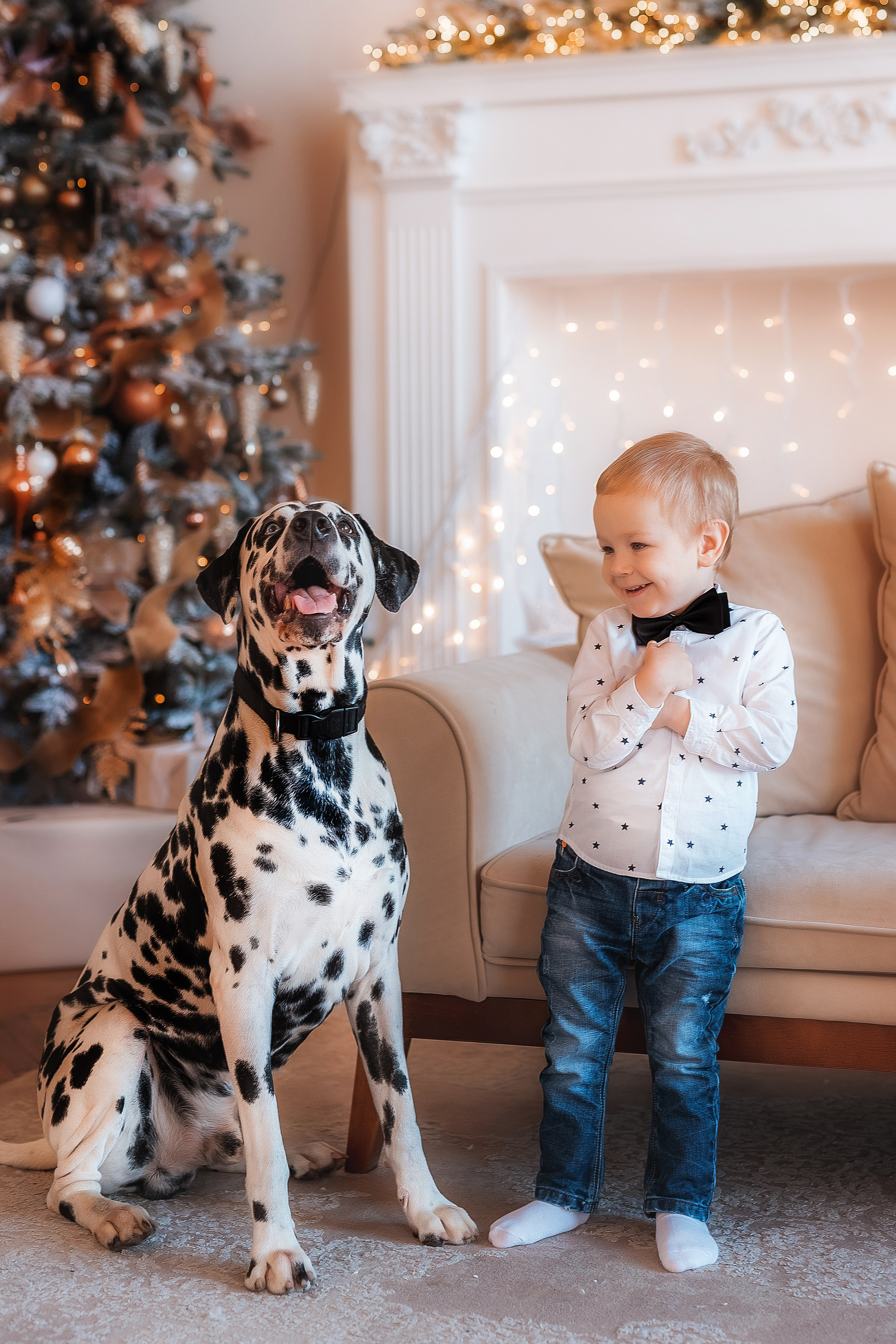 Фотосессия с далматинцем. Семейный, детский фотограф в Воронеже Анна Никитина