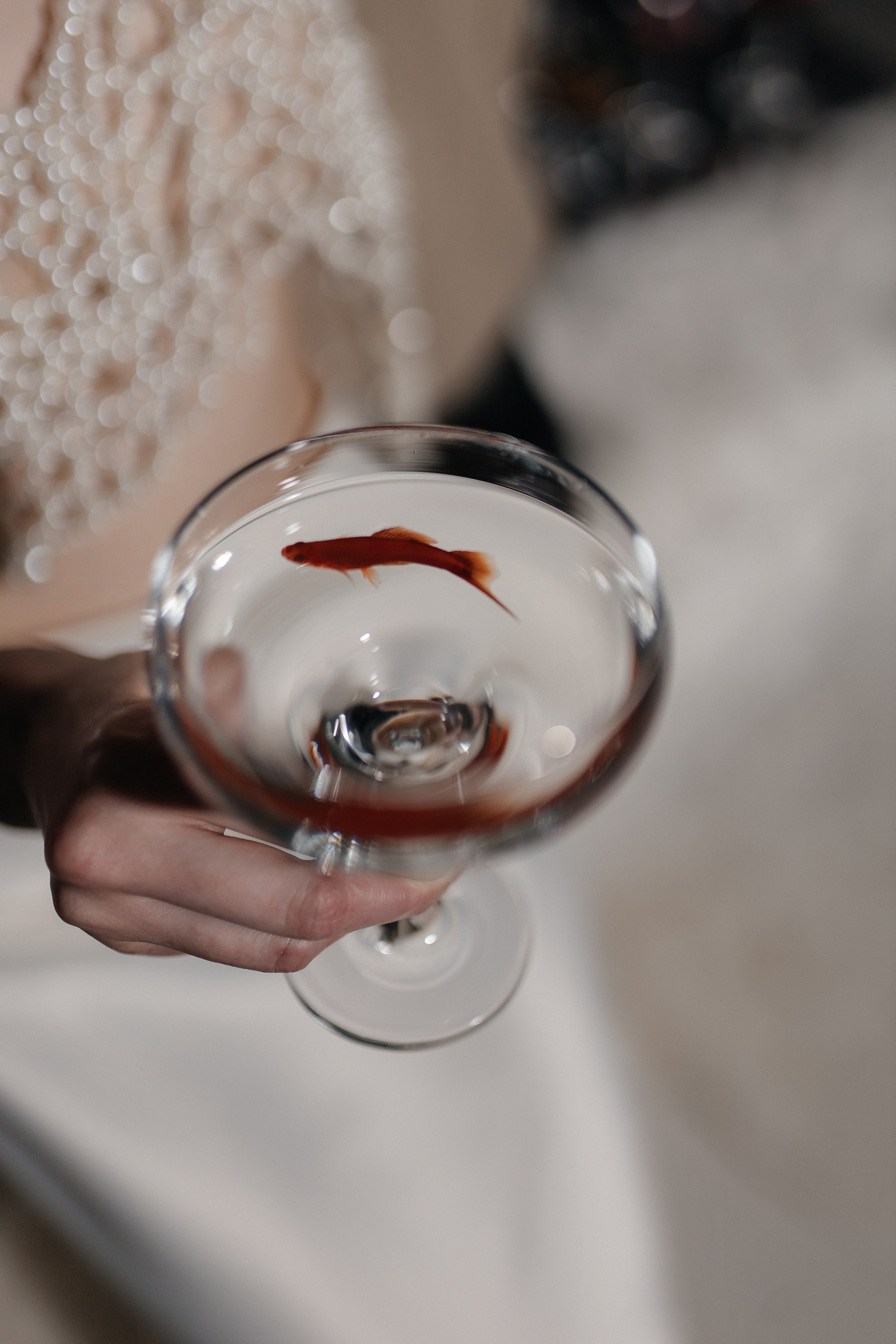 Алина и Александр. Семейный фотограф Губкин/Старый Оскол