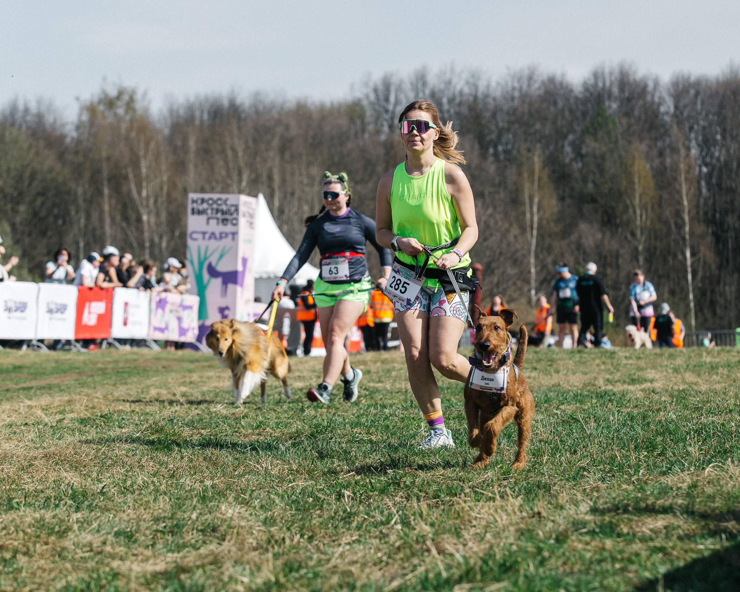 Кросс «Быстрый пёс» 2025. Репортажный фотограф в Москве