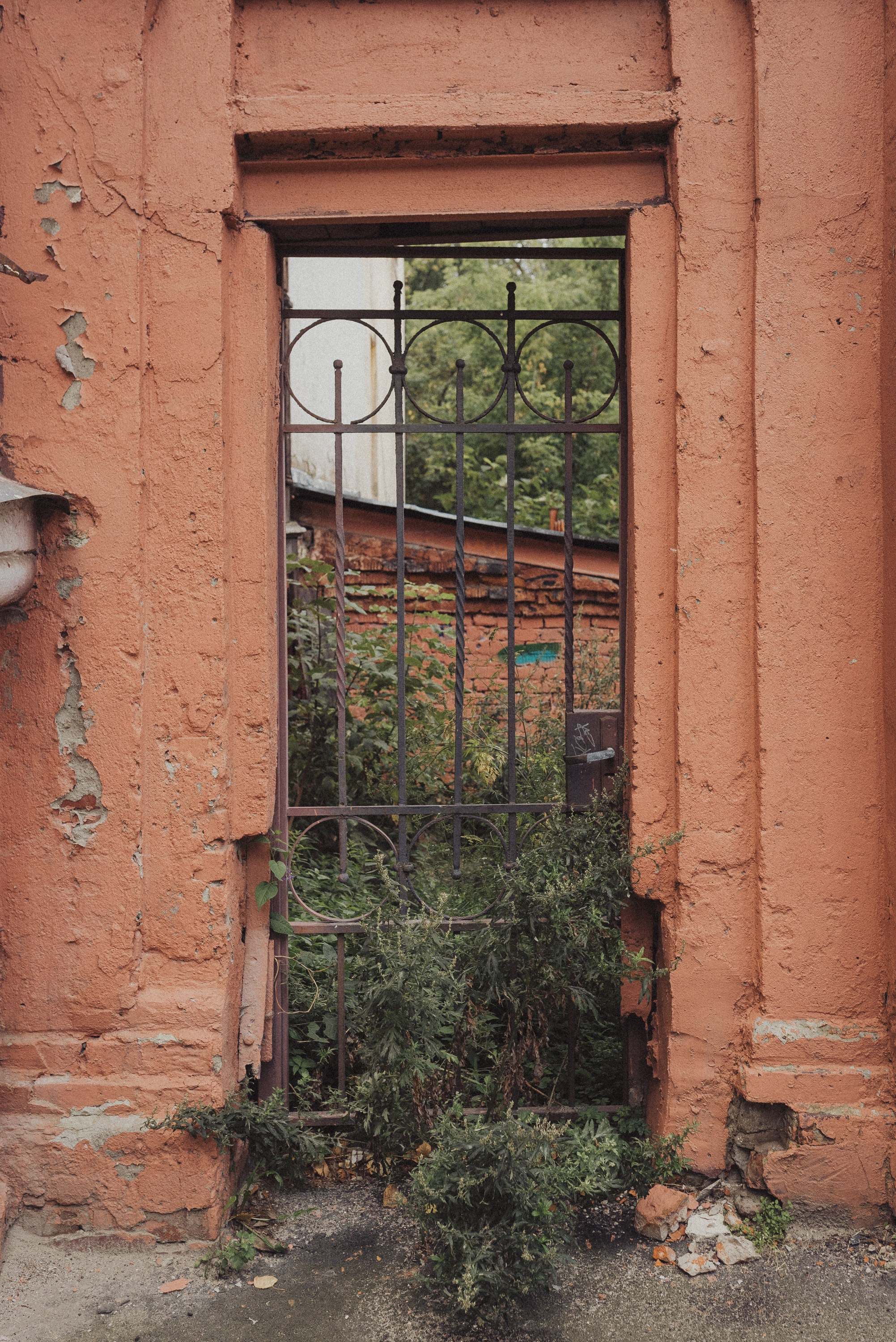 Проект #улицыгорода. Ярославль, улица Салтыкова-Щедрина. Документальный фотограф Илья Тихановский