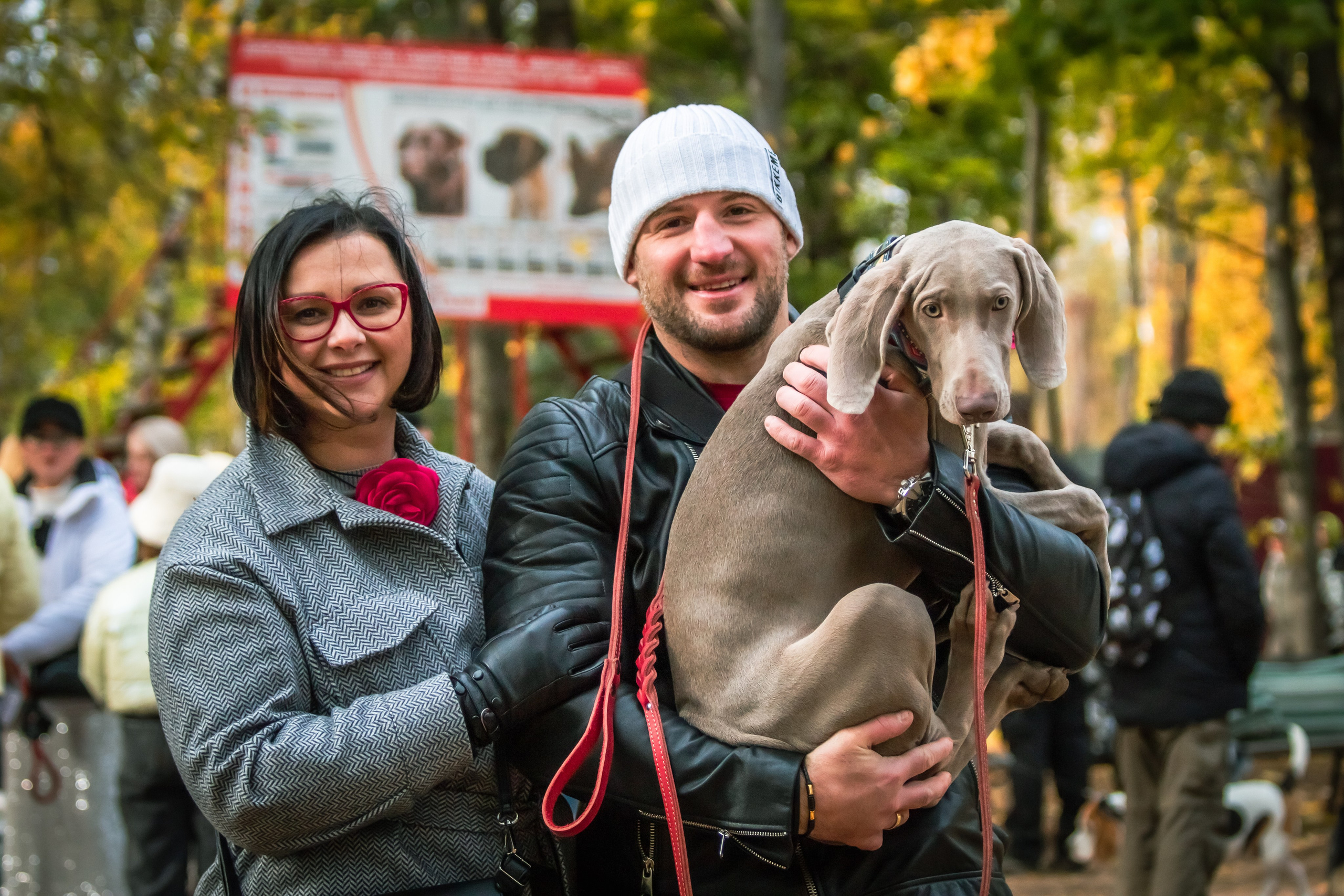 Костюмированный парад собак. Фотограф анималист — Тула, Москва