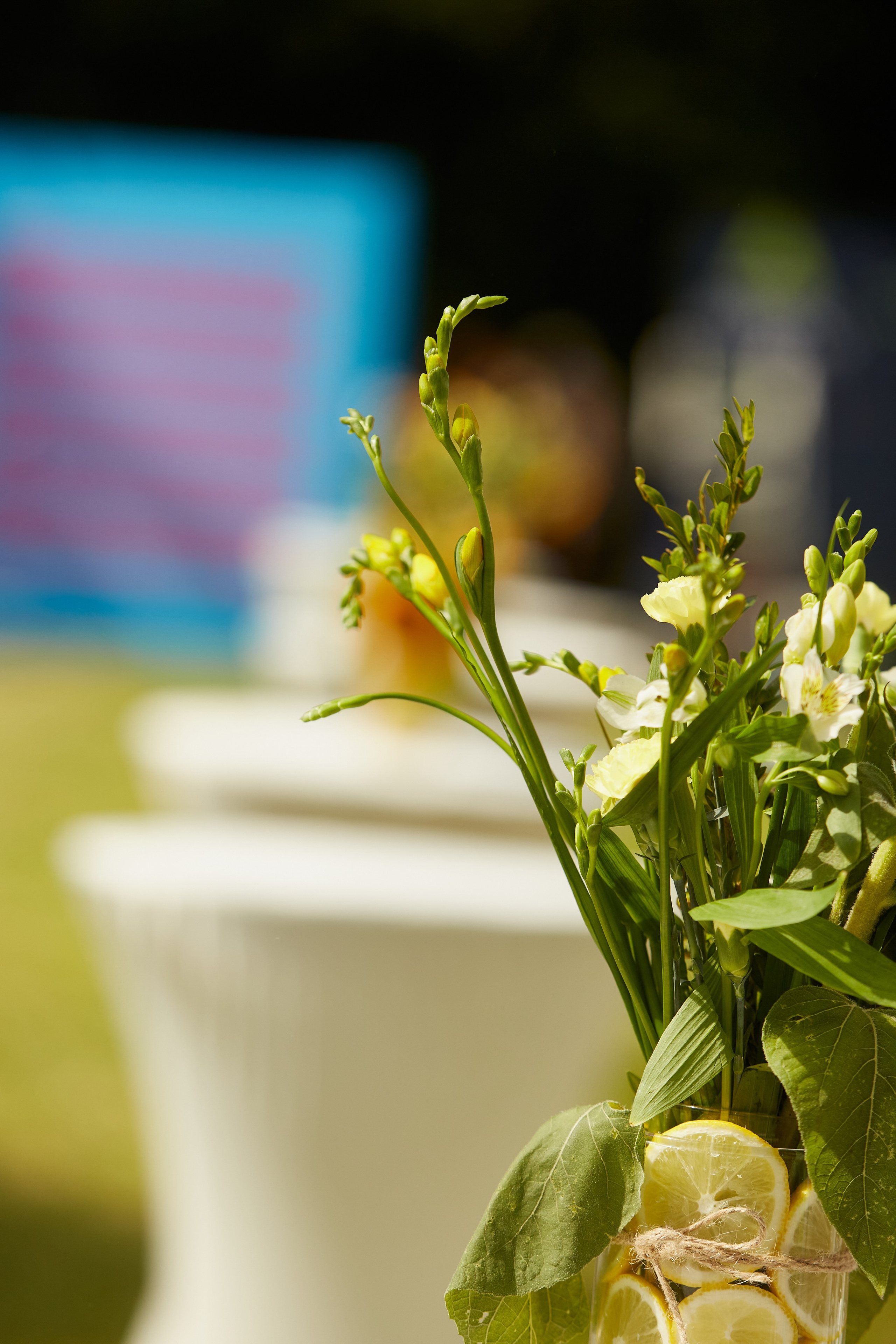 Летняя встреча компании. Свадебный фотограф Москва и Московская область Борисов Сергей