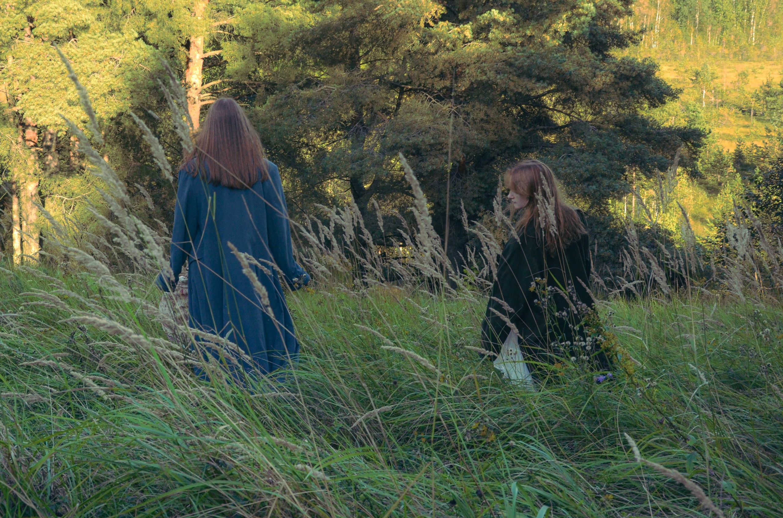 Лесное. Фотограф СПб | Лесная фотосессия