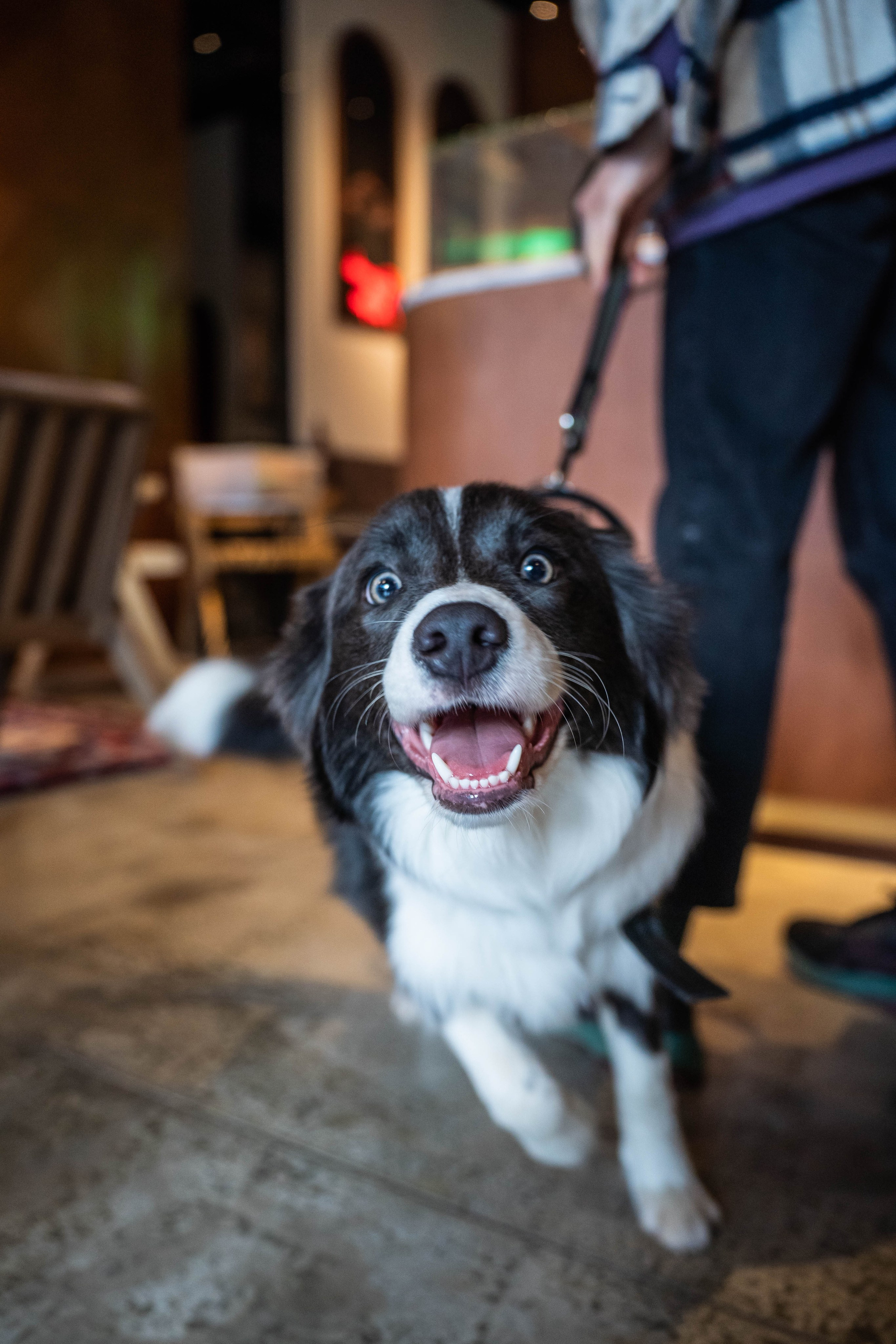 SURF COFFEE| DAY. Фотограф Абакумова Анастасия