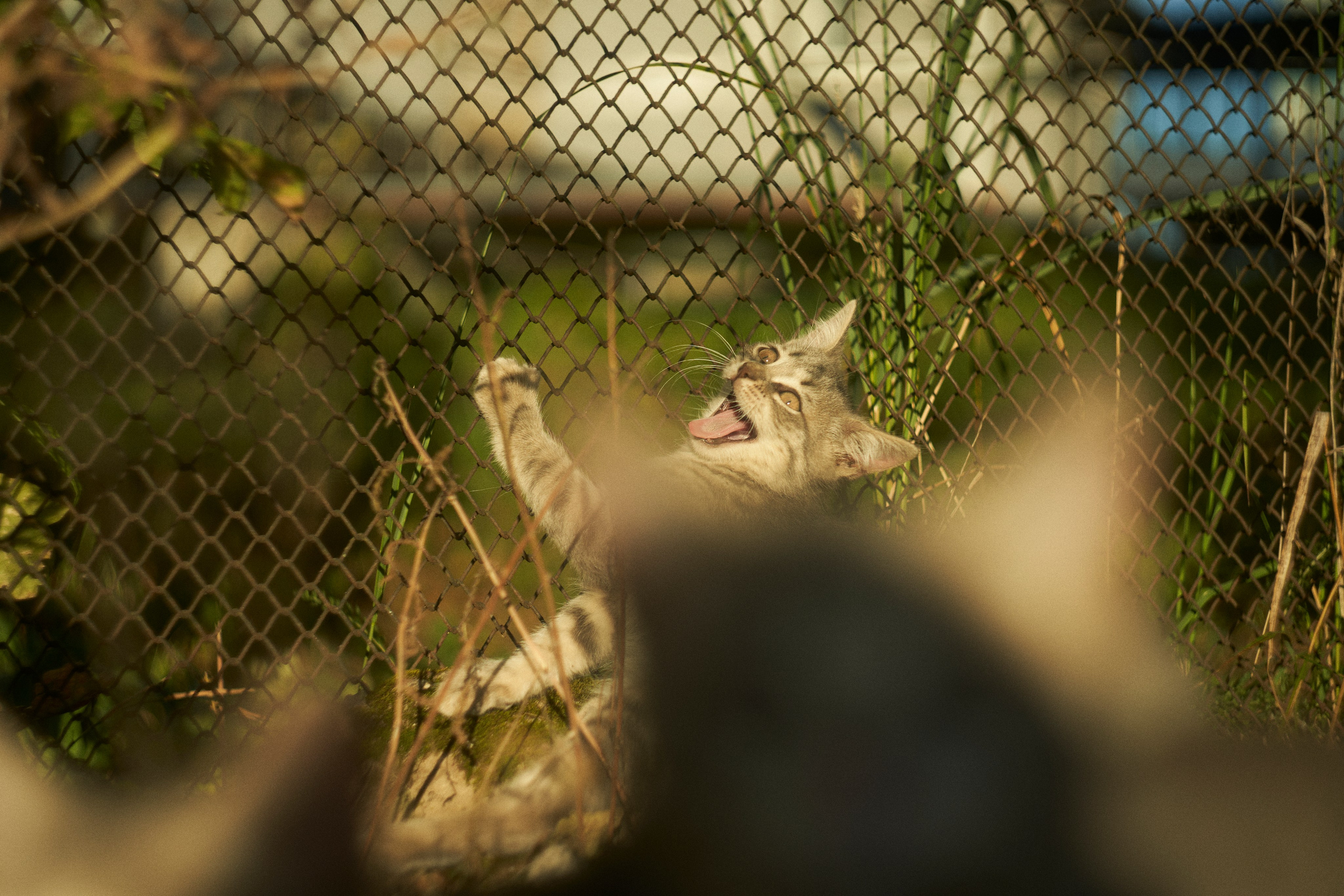Life on Helios 44-2. Портретный фотограф в Москве