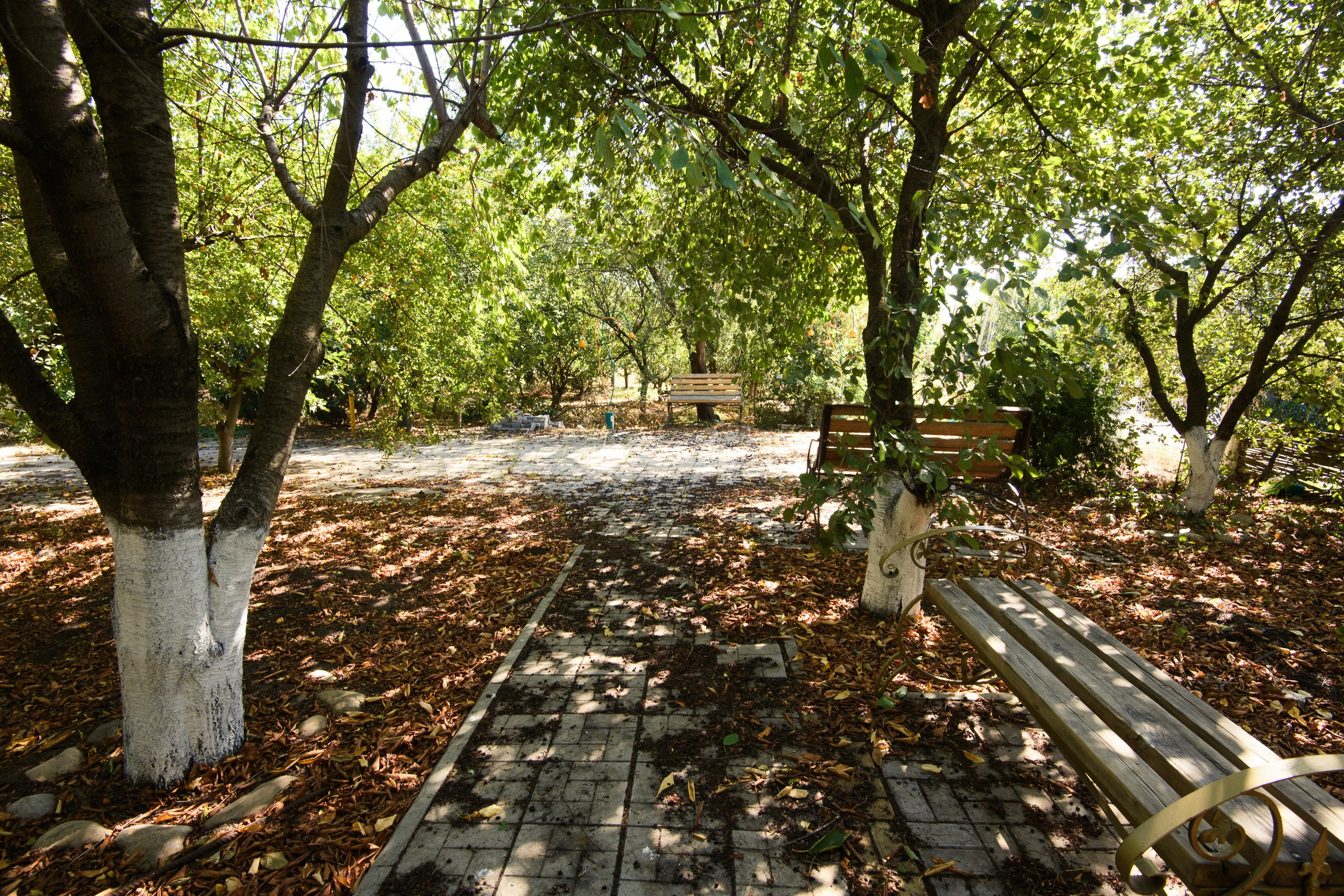Тихорецк. Профессиональная фотосъемка. Ростов-на-Дону