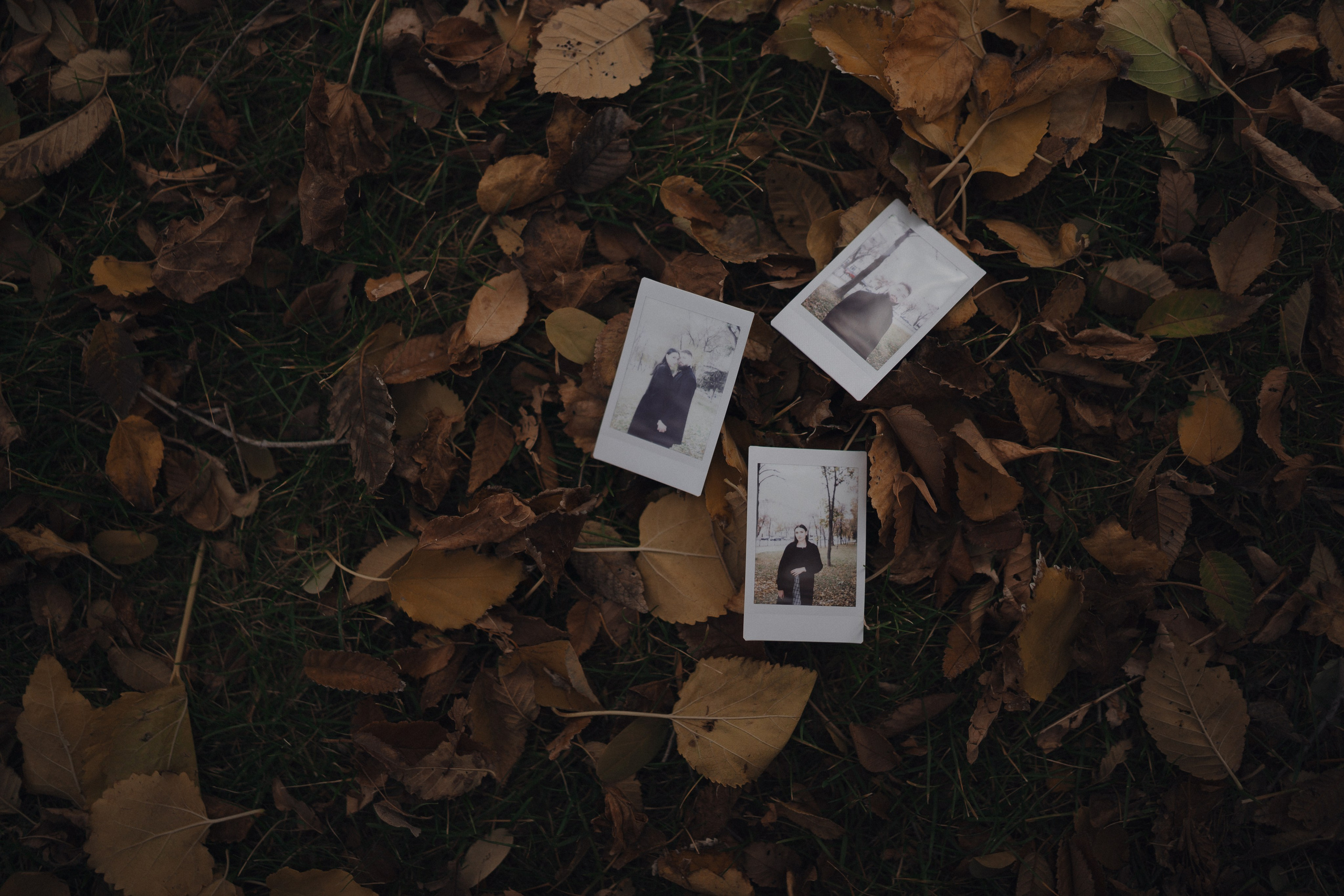 Мы. Свадебный фотограф Решетников Дмитрий