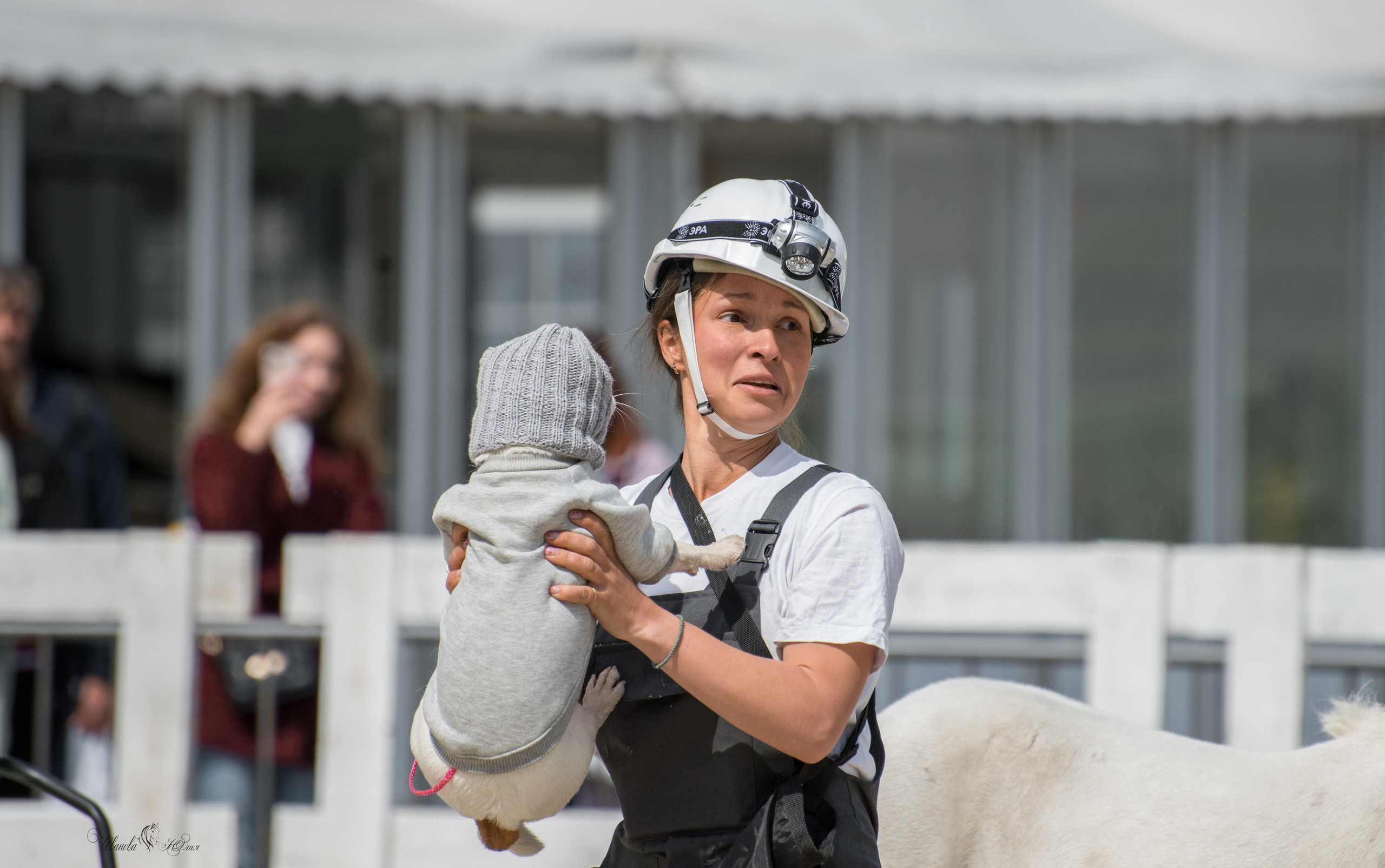 Эквирос, Москва. Конный фотограф в Саратове Юлия Иванова