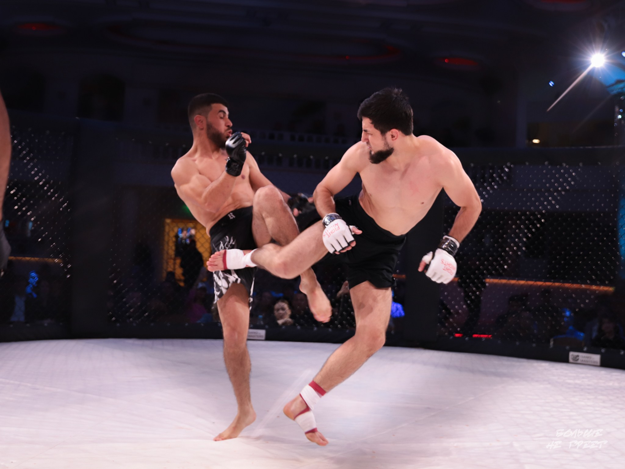 SABR FIGHTING. Больше не греет