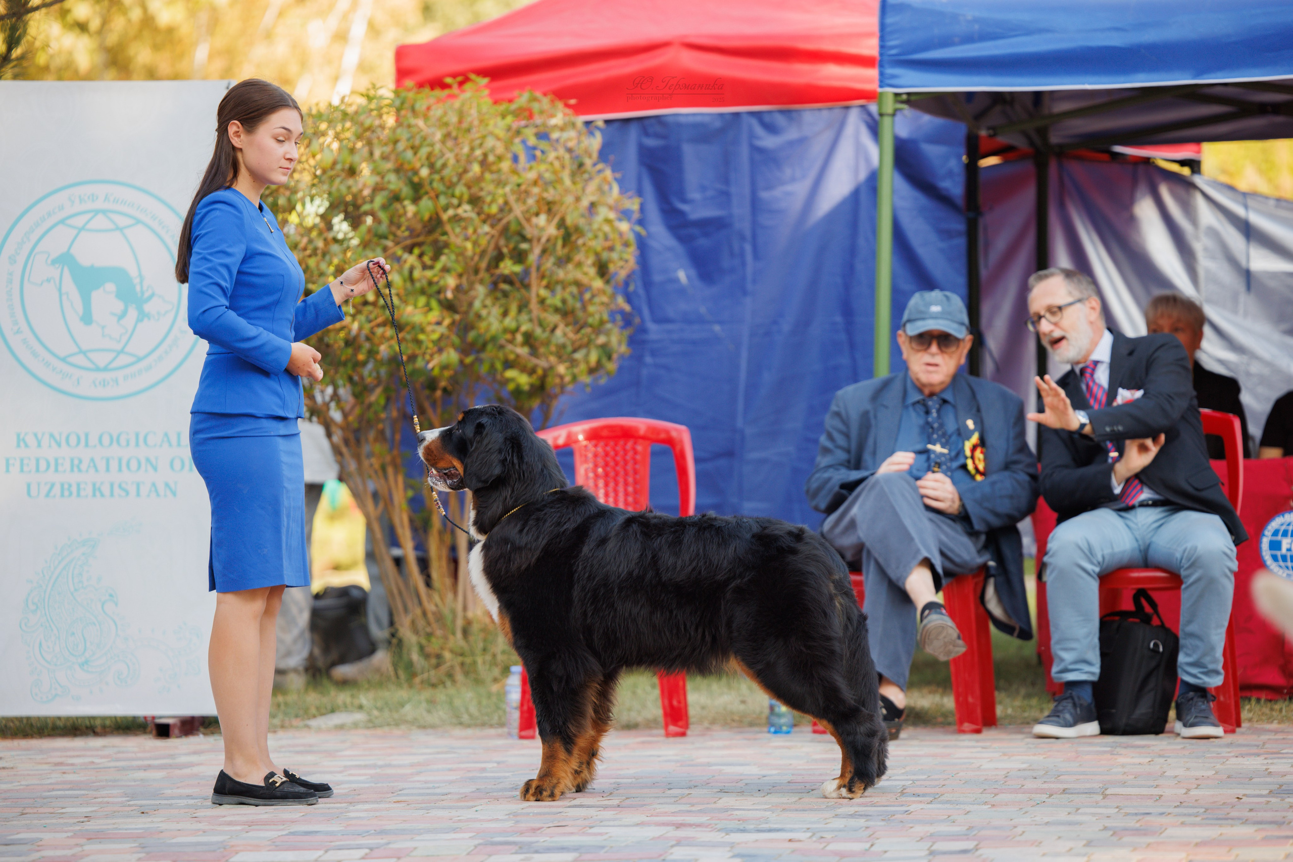 Ташкент 3хCACIB 3-5.10.2025. Фотограф-анималист Юлия Германика