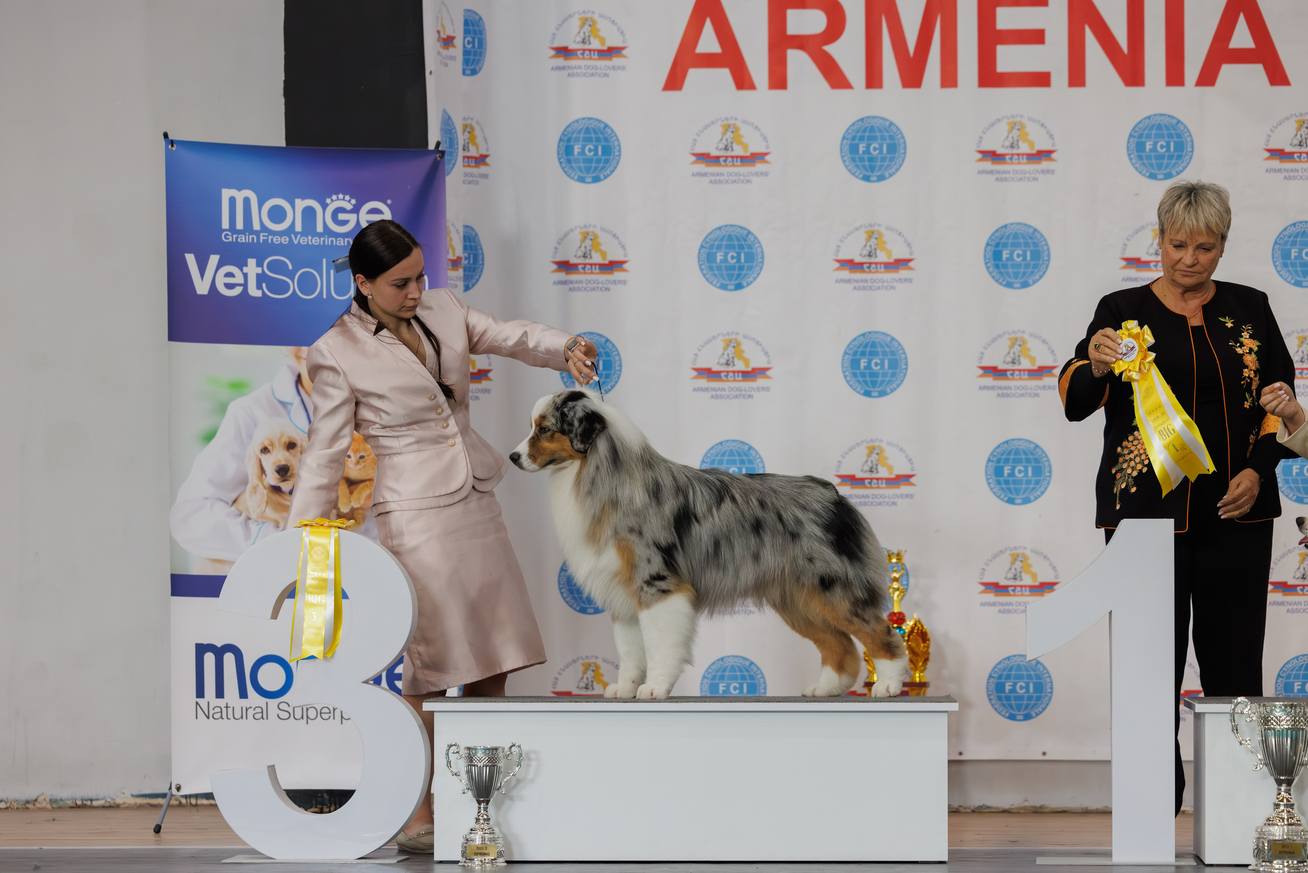 Ереван 2х CACIB 29-30.04.2025. Фотограф-анималист Юлия Германика