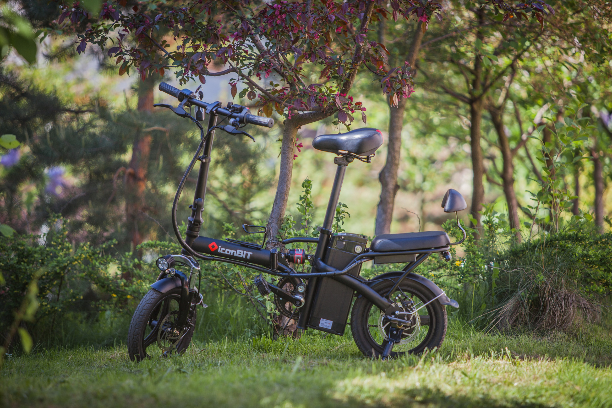 Самокаты. Фотография, ретушь, сканирование, восстановление старых фото, интерьерная съёмка, студия. Данилов Александр, Москва