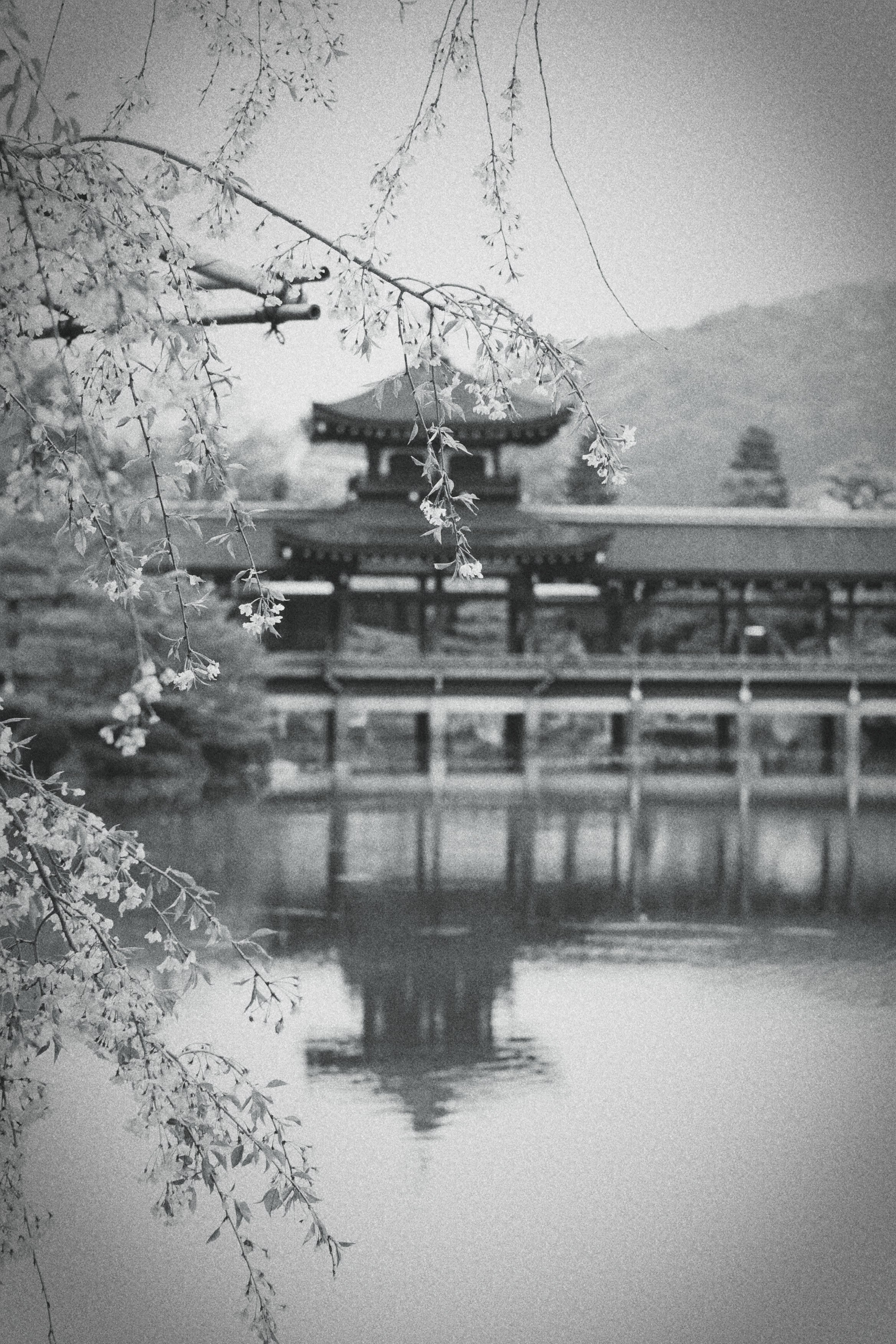 Япония. Фотография, ретушь, сканирование, восстановление старых фото, интерьерная съёмка, студия. Данилов Александр, Москва