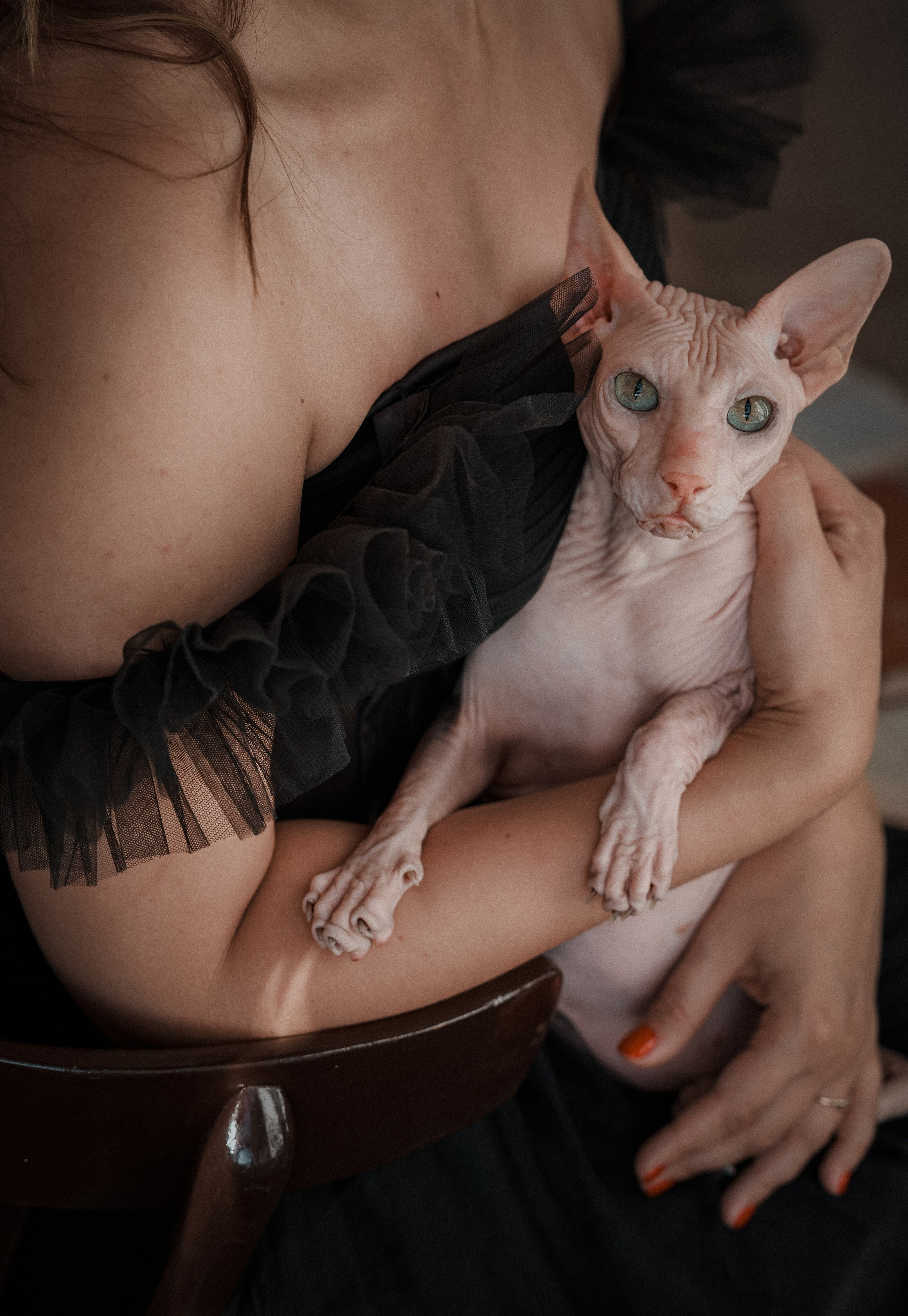 Мария, коты Рамсик и Вася. Фотограф анималист в Казани Алина Сулейманова. Фотограф животных