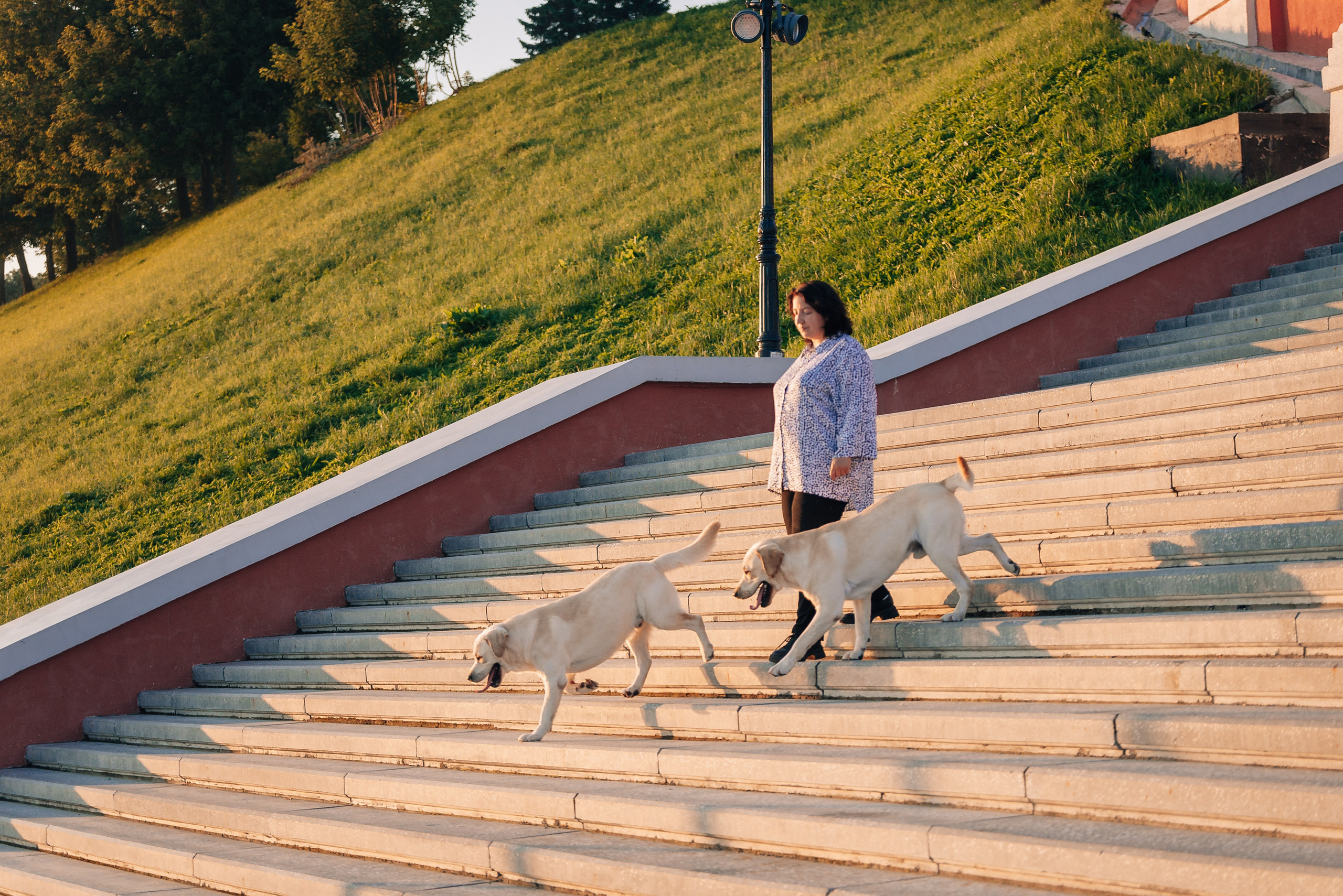Екатерина, Урал и Бест. Фотограф-анималист Анастасия Парфенова|Екатеринбург