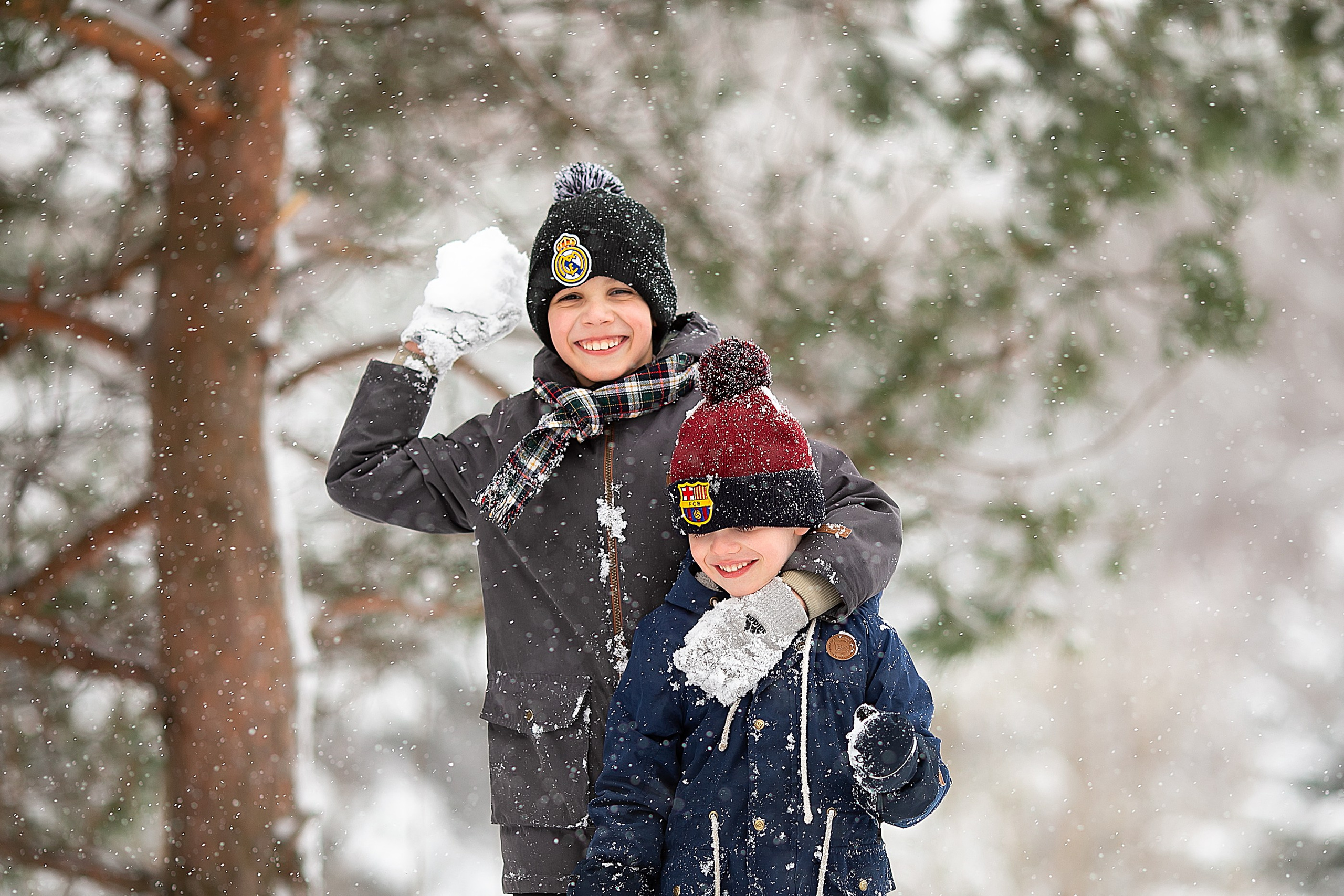 Зимняя радость. Главная