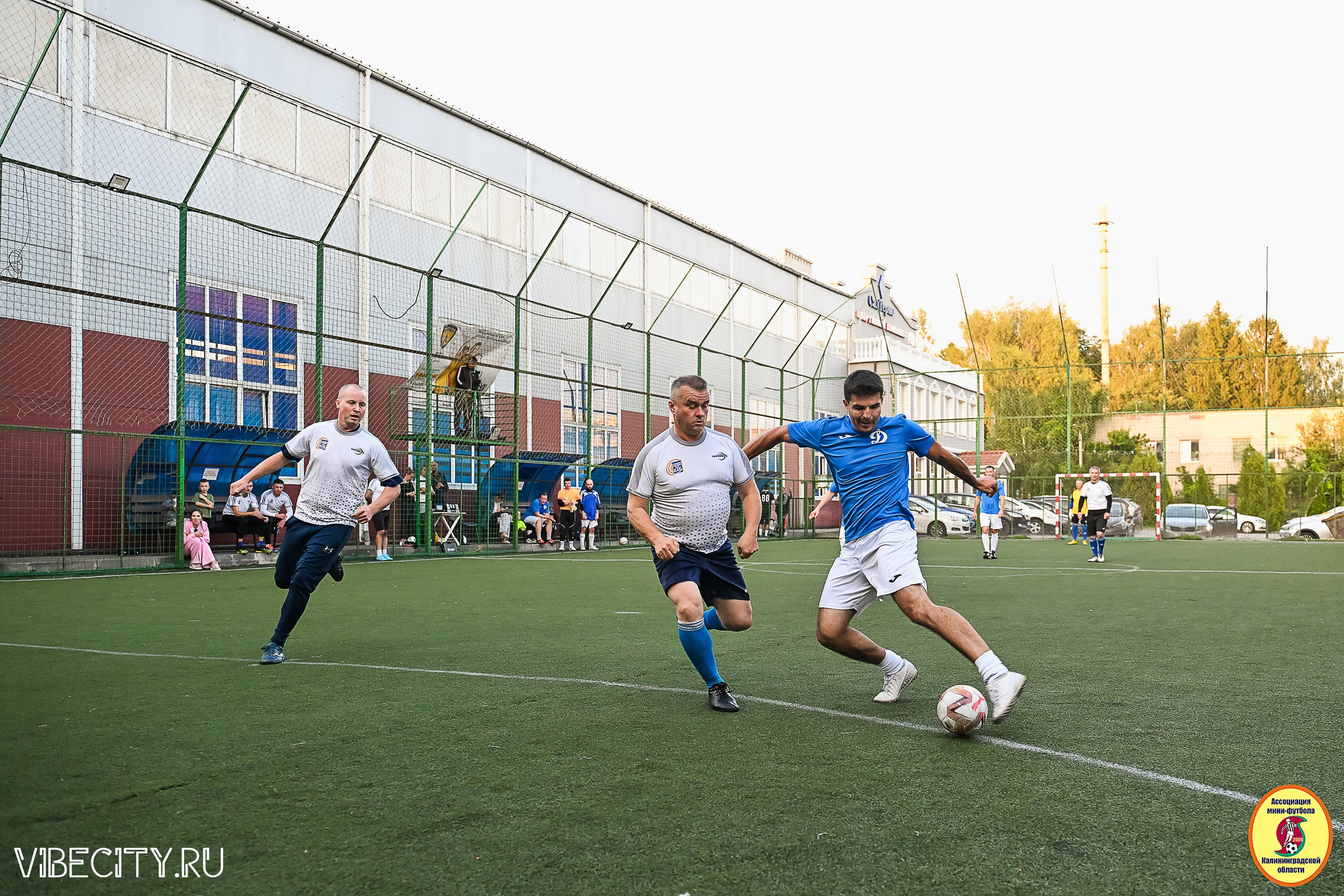 ИГРЫ ПЛЕЙ-ОФФ ПЕРВОГО ДИВИЗИОНА МИНИ-ФУТБОЛЬНОЙ ЛИГИ. VIBECITY.RU Вайб Сити Ру Фоторепортажи Фотоотчеты Калининград