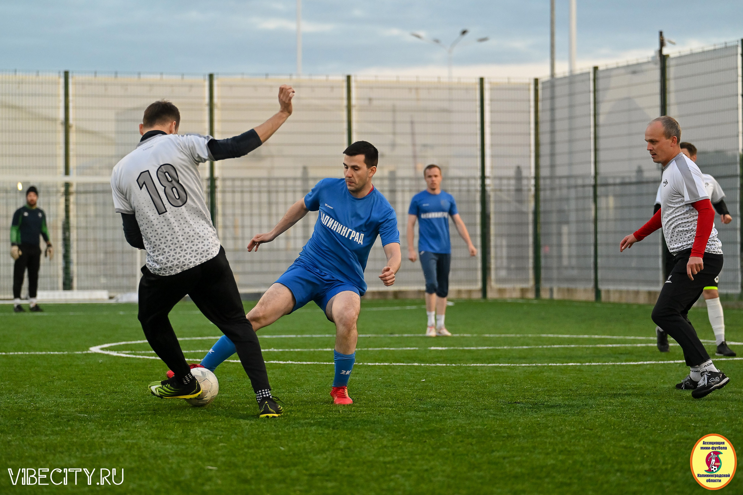 ИГРЫ МИНИ-ФУТБОЛЬНОЙ И КОРПОРАТИВНОЙ ЛИГИ. VIBECITY.RU Вайб Сити Ру Фоторепортажи Фотоотчеты Калининград