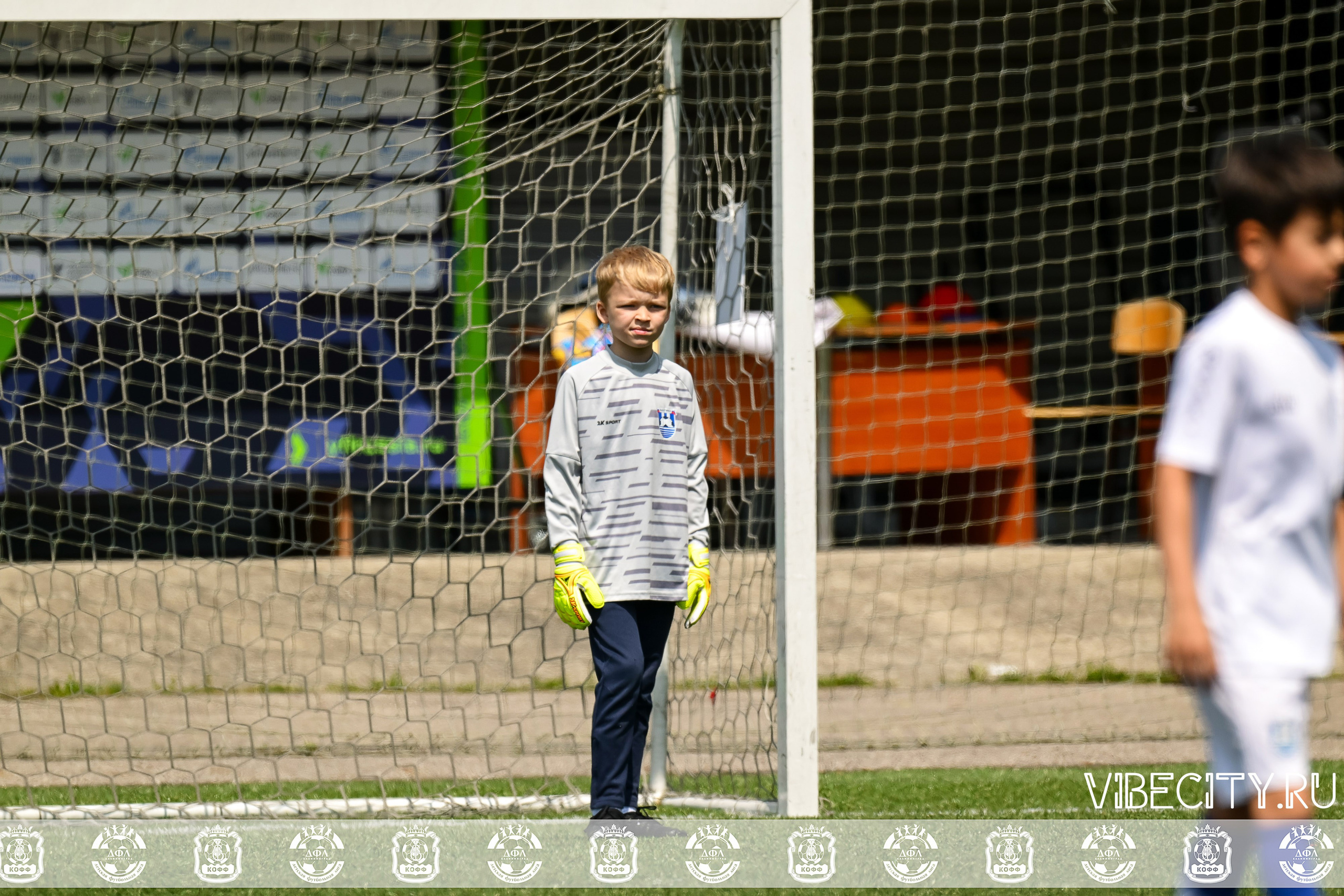 Большие Звезды светят Малым. VIBECITY.RU Вайб Сити Ру Фоторепортажи Фотоотчеты Калининград