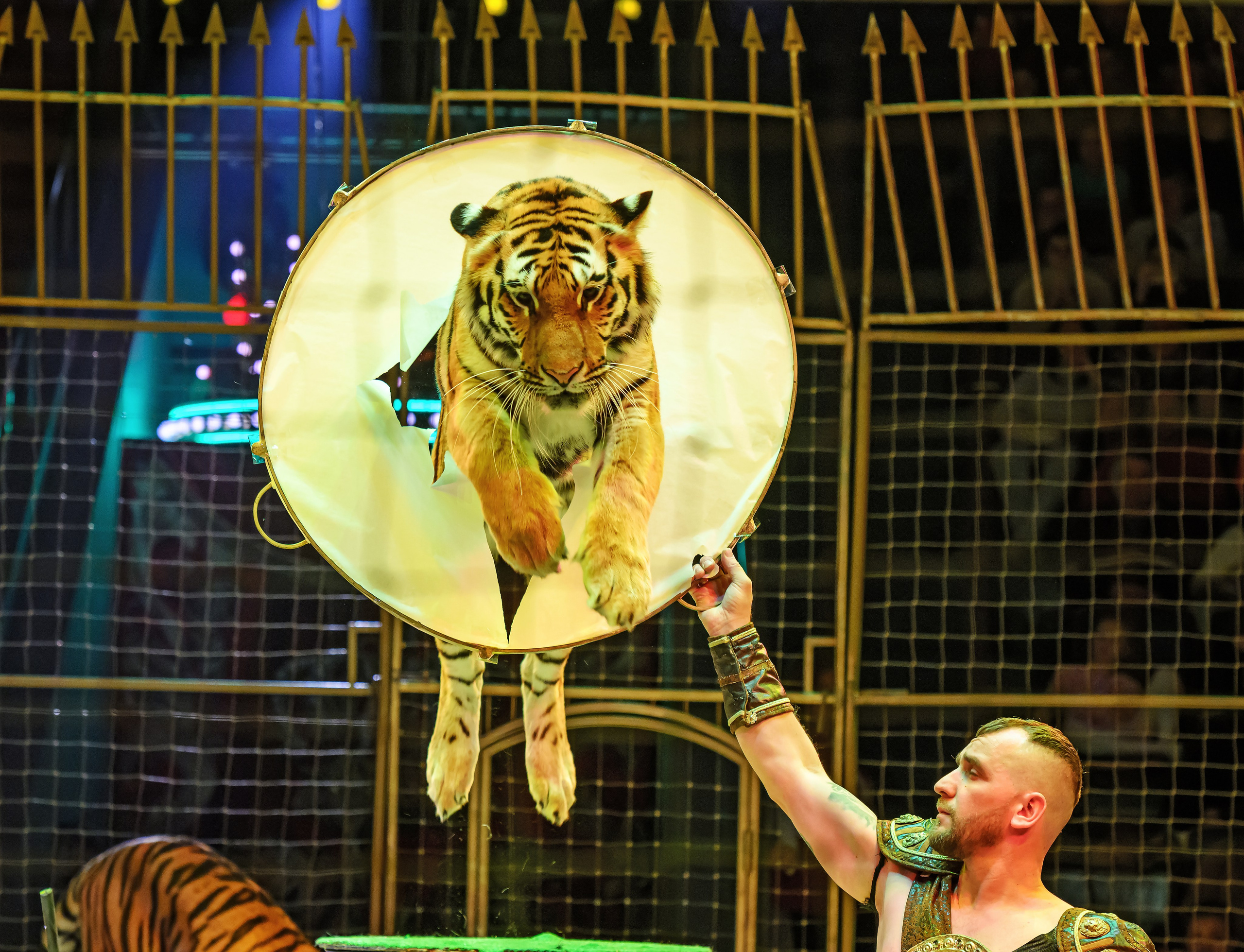 Фотограф Андрей Пухов (Jazz)