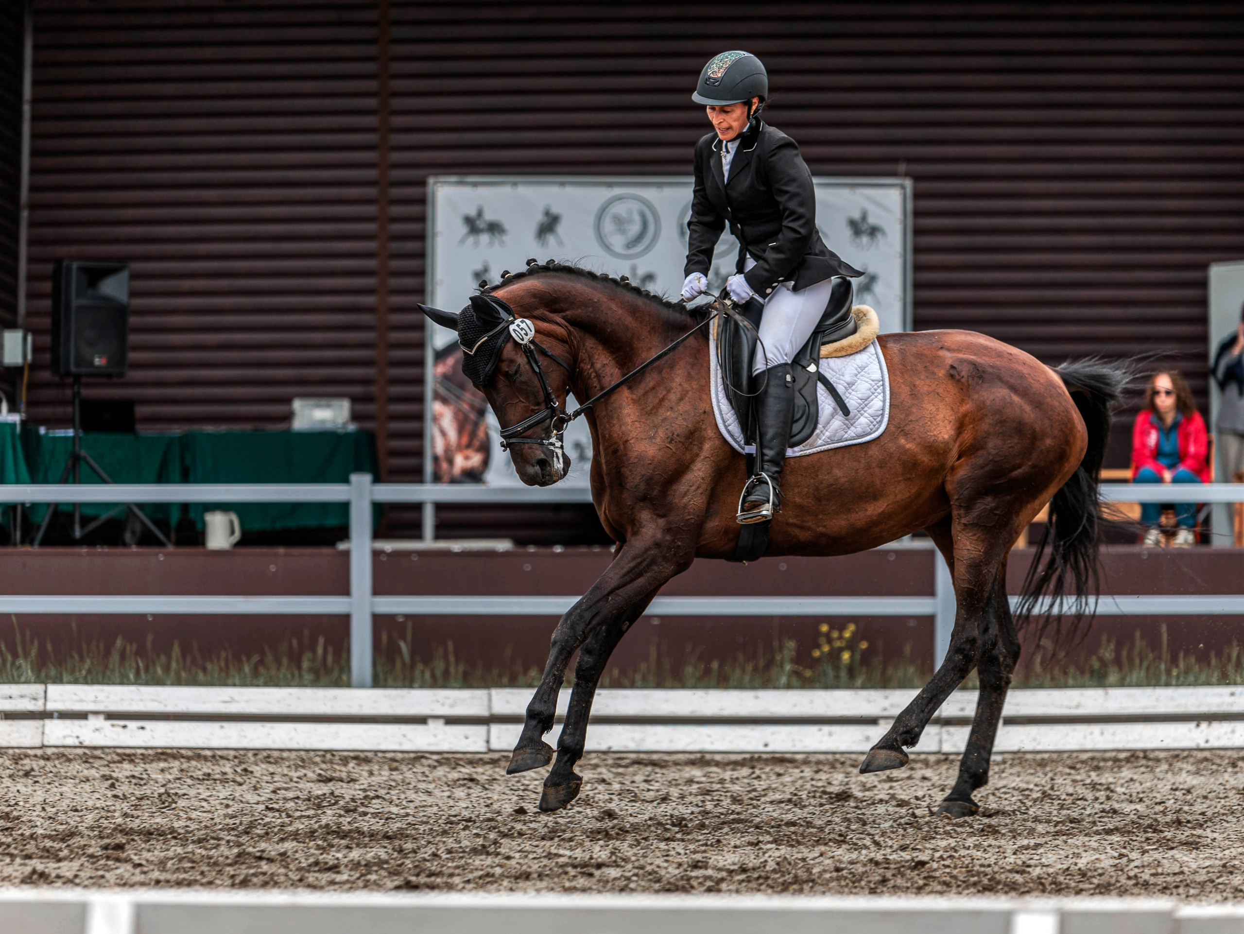 2025. Конный фотограф в Красноярске — Любовь Похабова