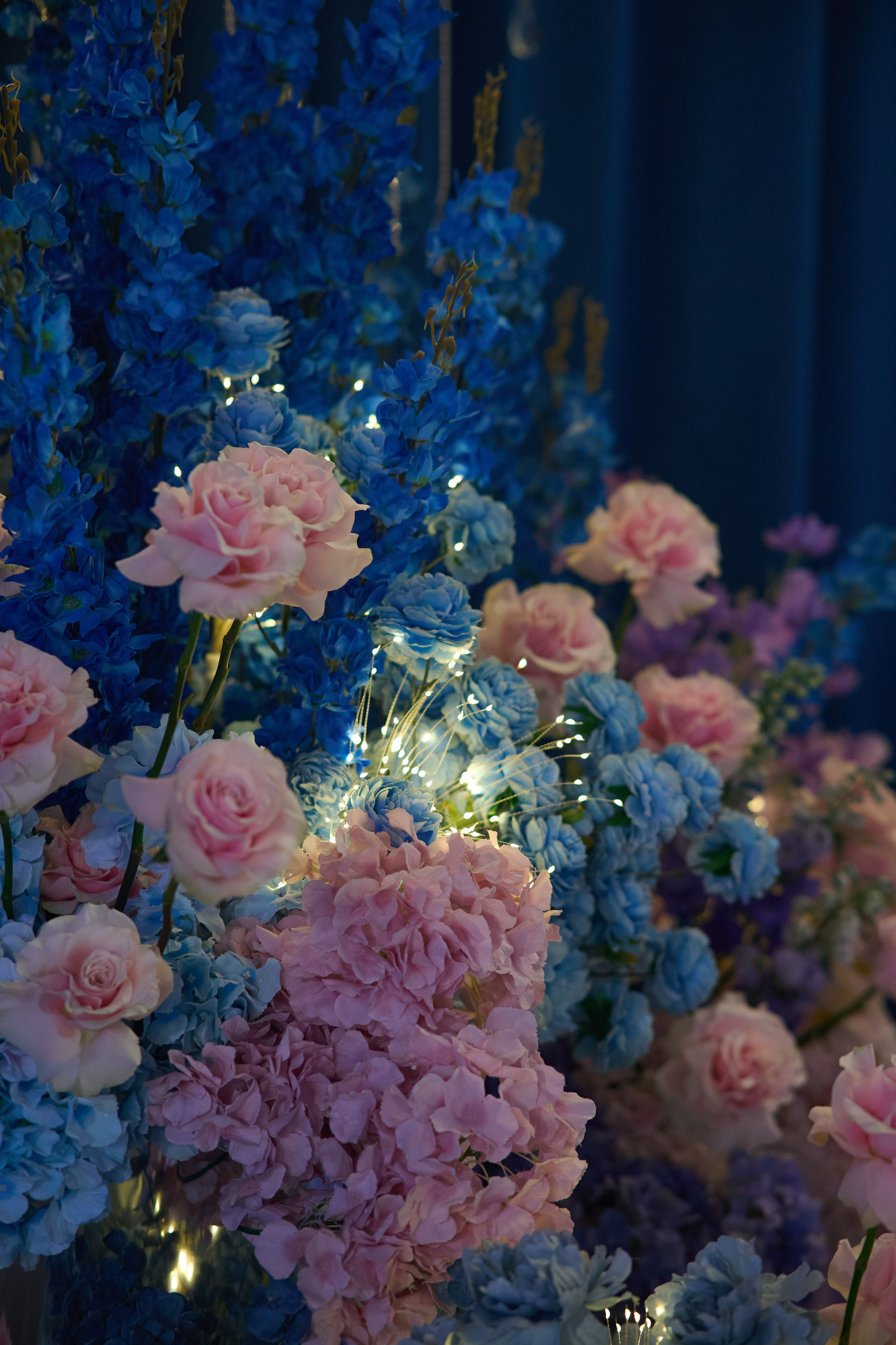 Колибри. Репортажный фотограф в Москве и Санкт-Петербурге — Профессиональная съёмка мероприятий | Данила Золкин