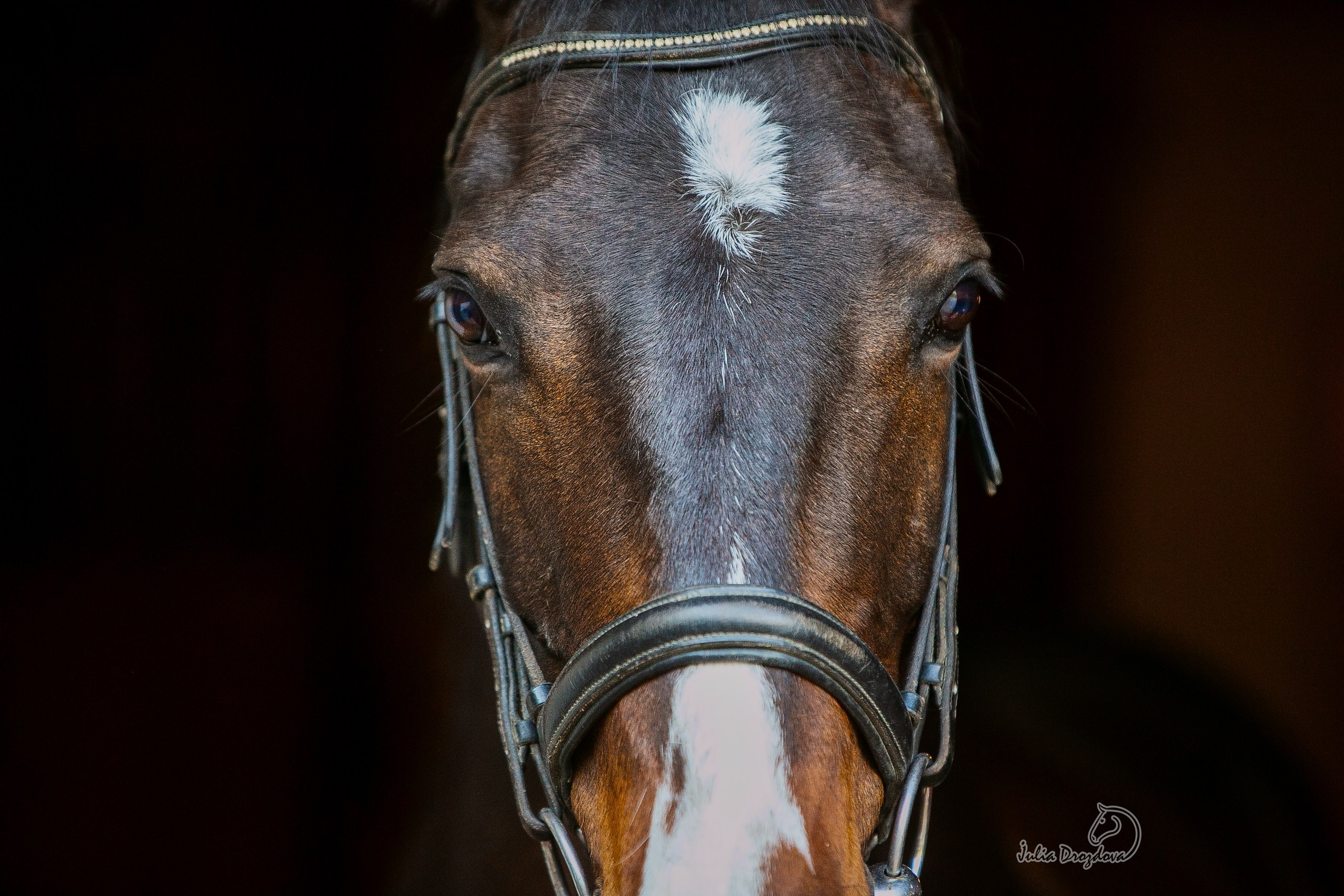 Конный фотограф Юлия Дроздова
