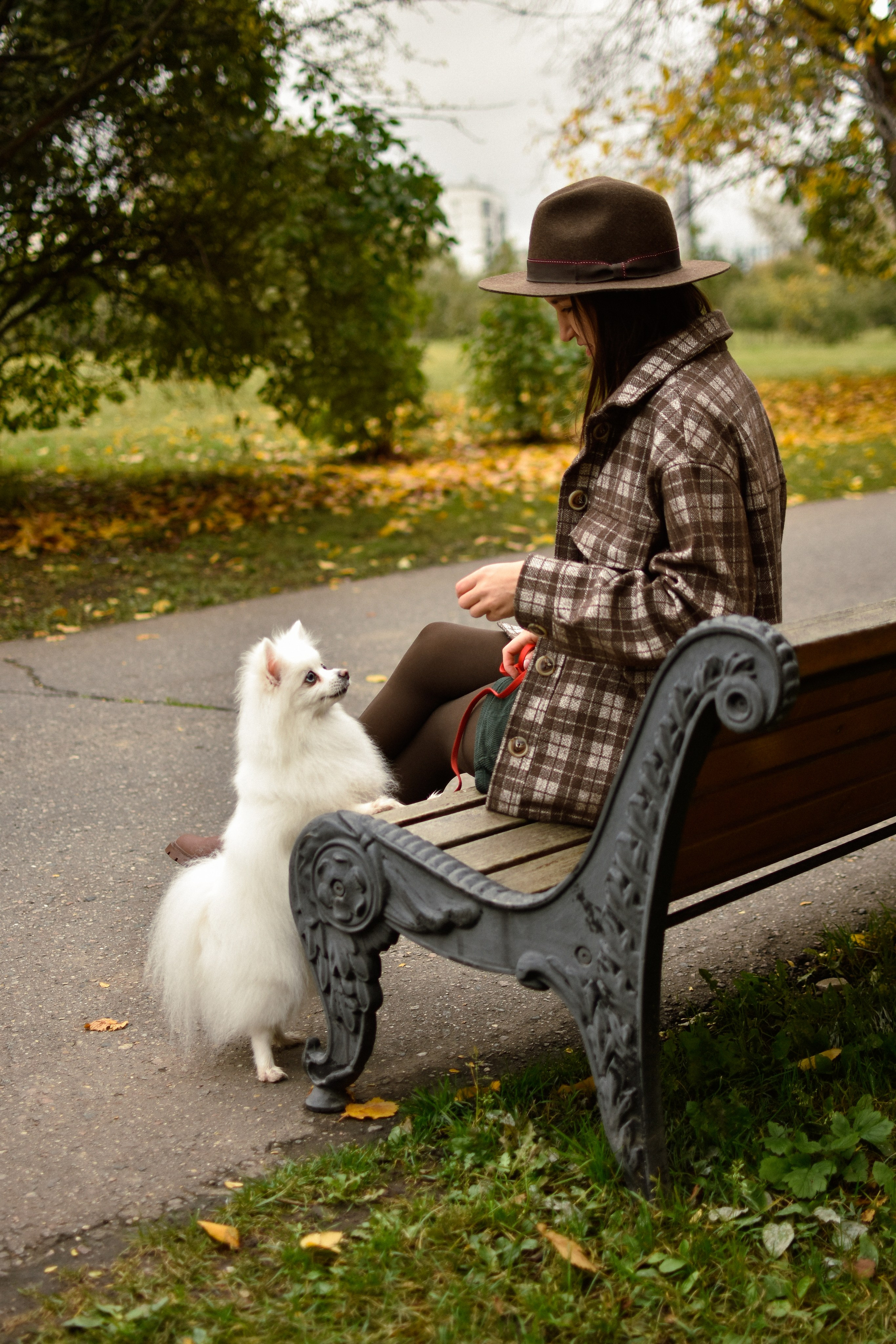 Анабель и Саша. Фотограф-анималист Ксения Шевцова|Москва