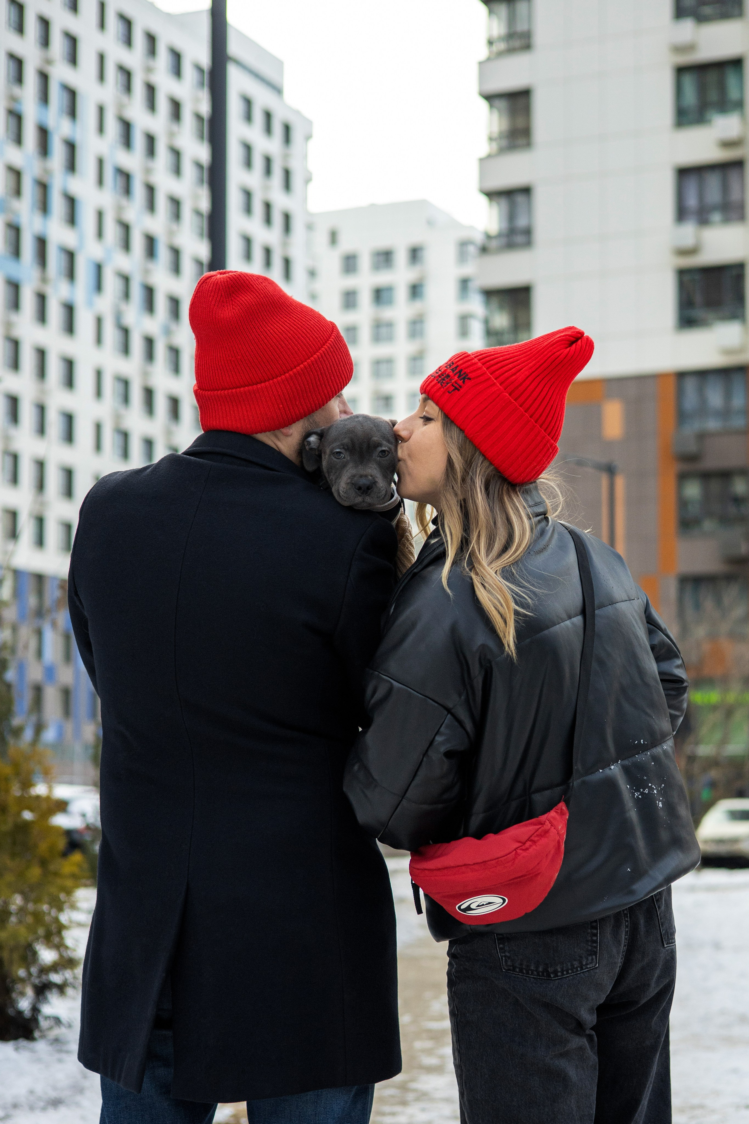 Дарси, Тимур и Юля. Фотограф-анималист Ксения Шевцова|Москва