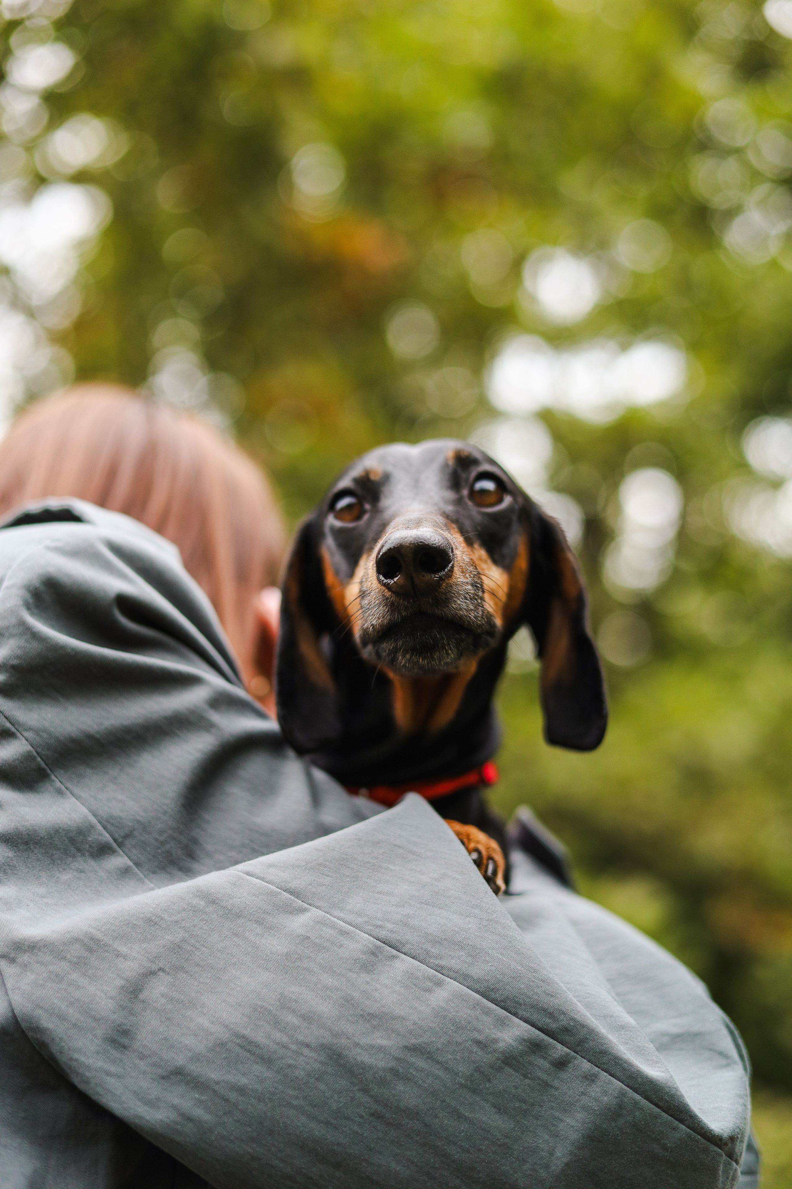 Моня и Оля. Фотограф-анималист Ксения Шевцова|Москва