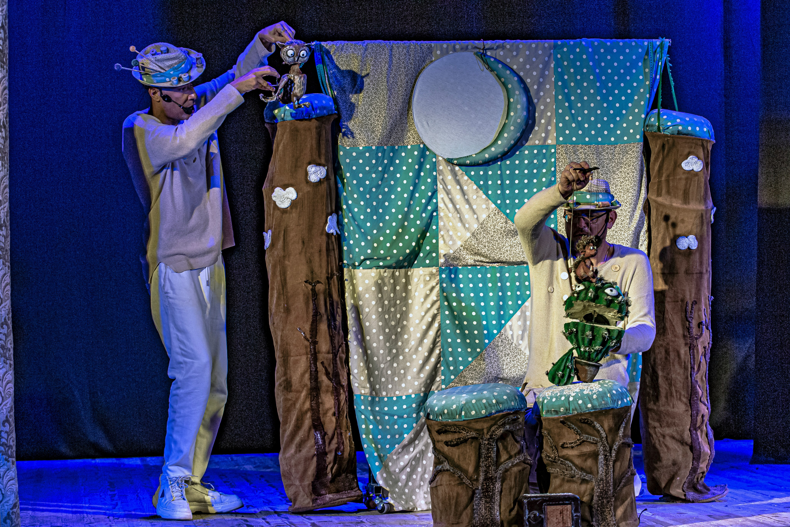 Колючая сказка. Фотограф в Сочи Юрий Шептаев