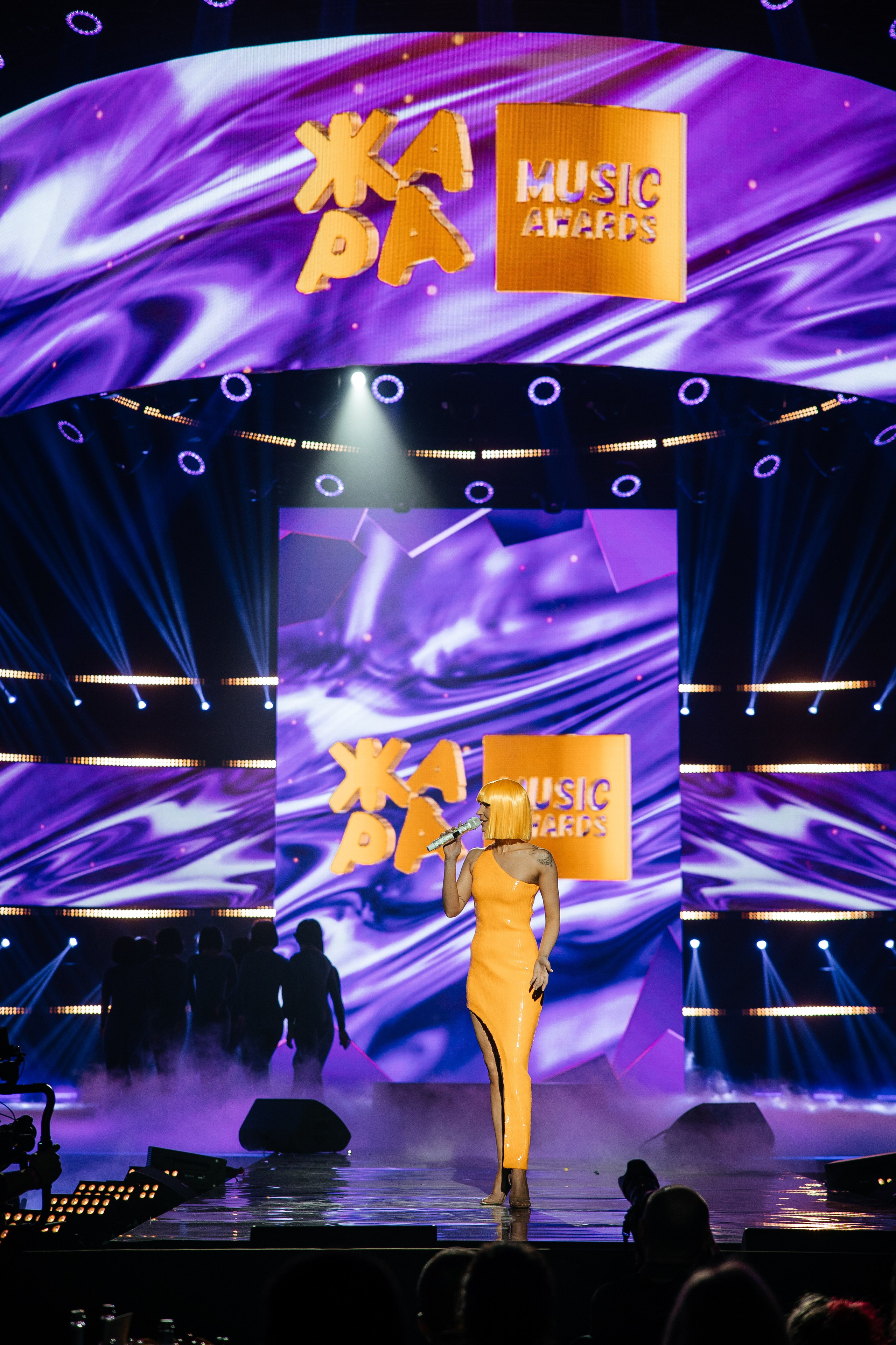 ЖАРА ТВ. Светский фотограф — Анисина Ирина