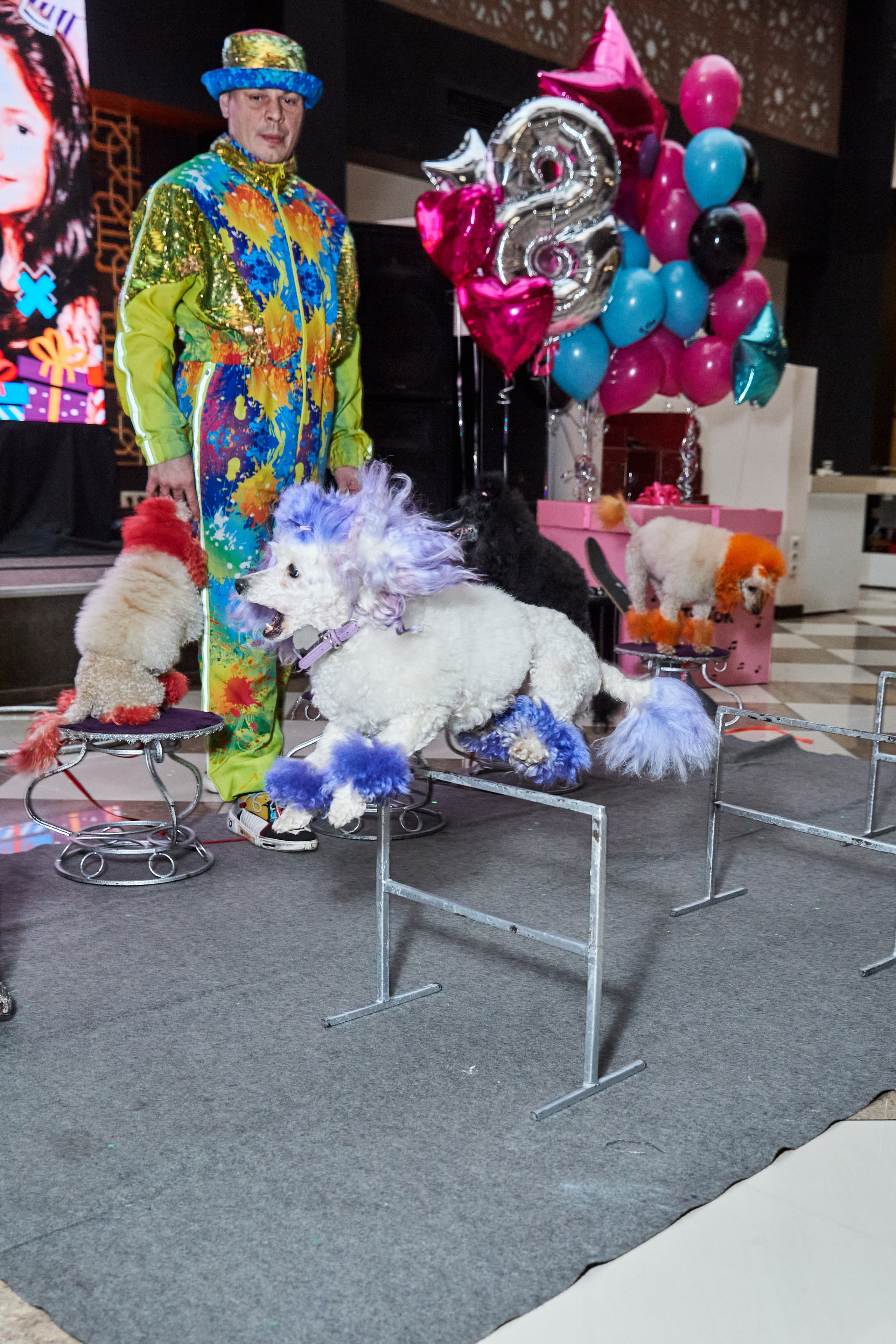 Большой День рождения девочки. Budanovaphoto.ru