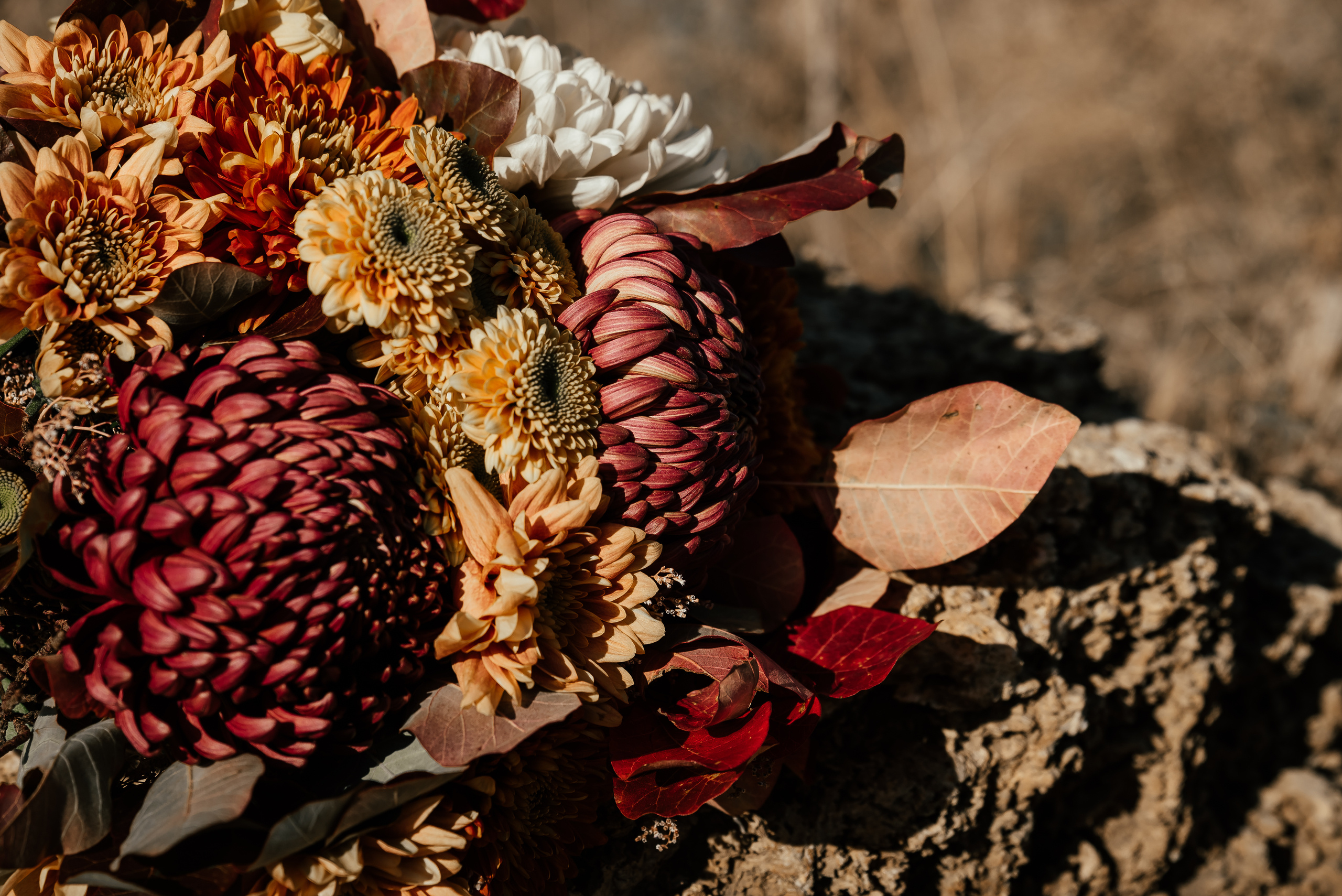 Настя и Кирилл. Свадебный фотограф в Ростове Александра Груздева