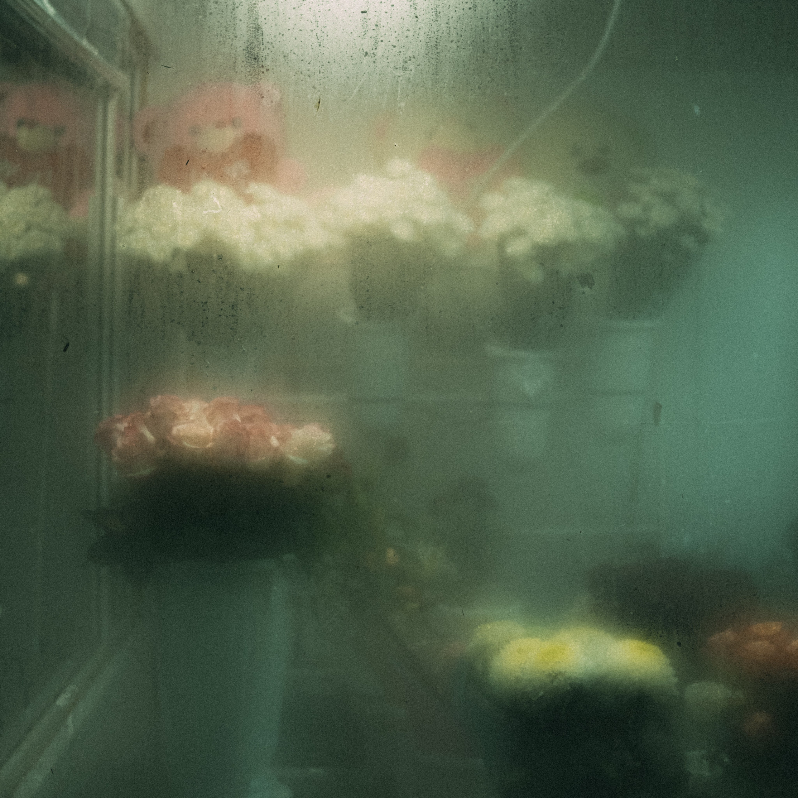 Дневник. Фотограф из Хакасии Элина Кичеева