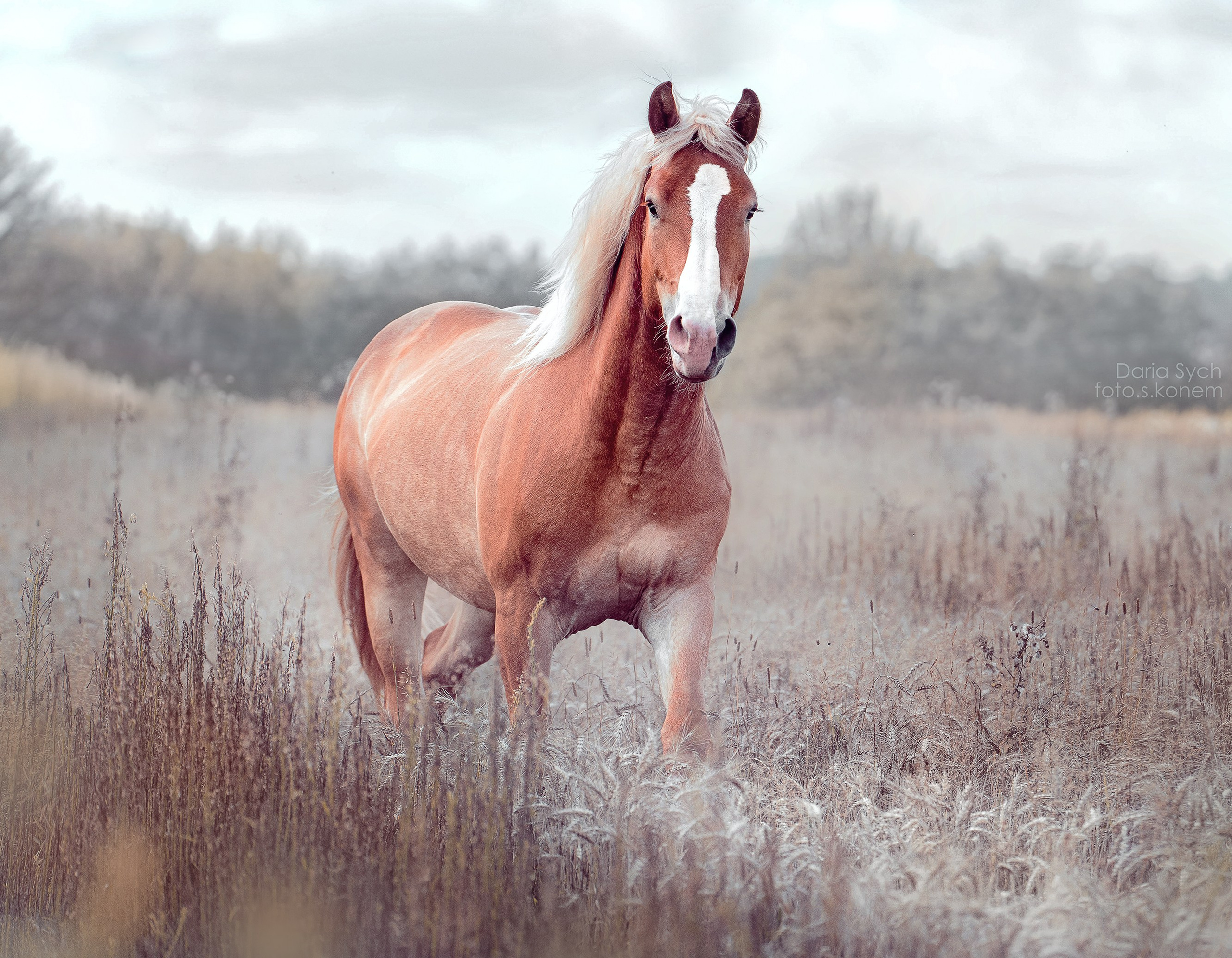 Летний зной. Фотограф Дарья Соколовская