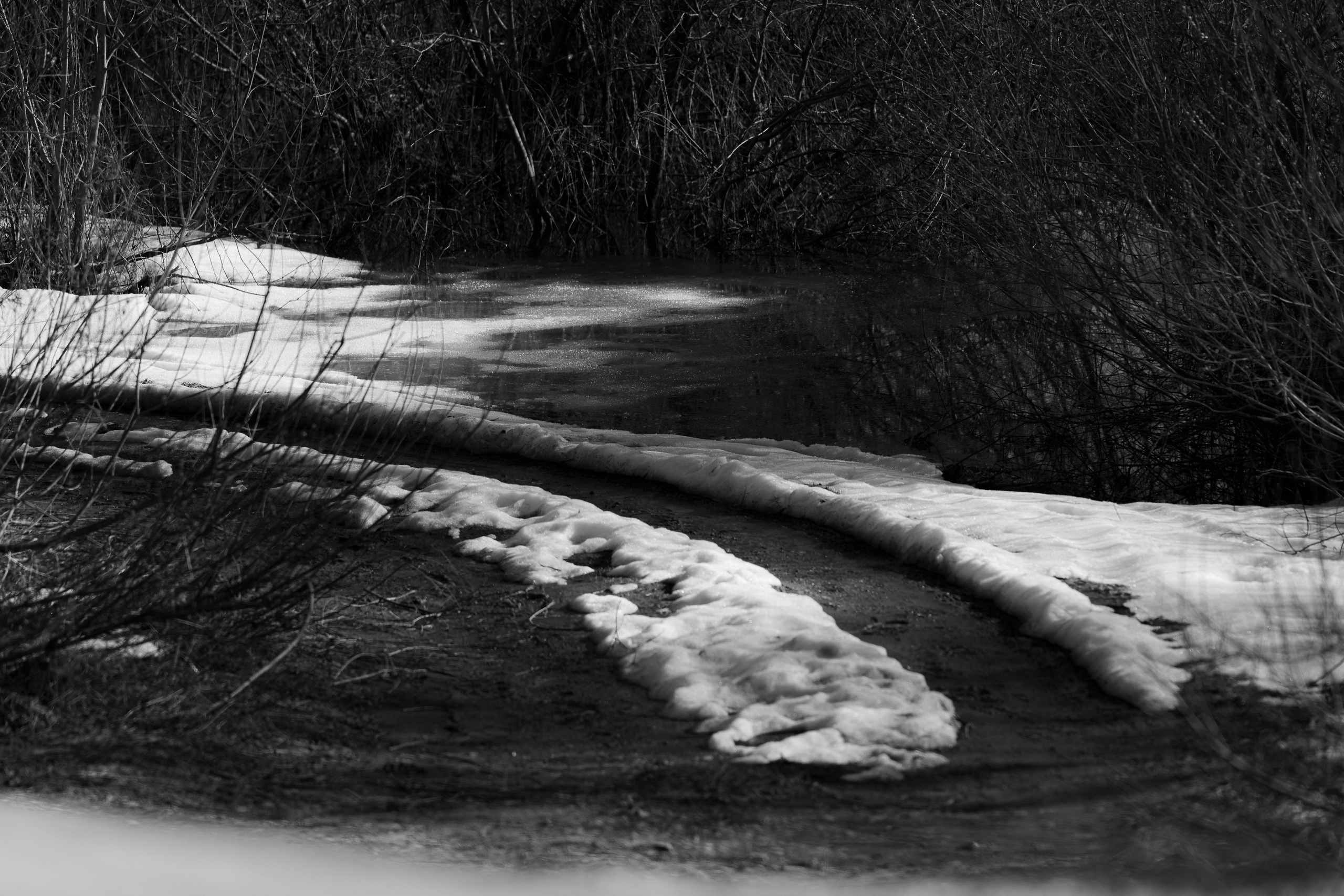 Ч.б. фотографии. Фотографии Лены Соколовой
