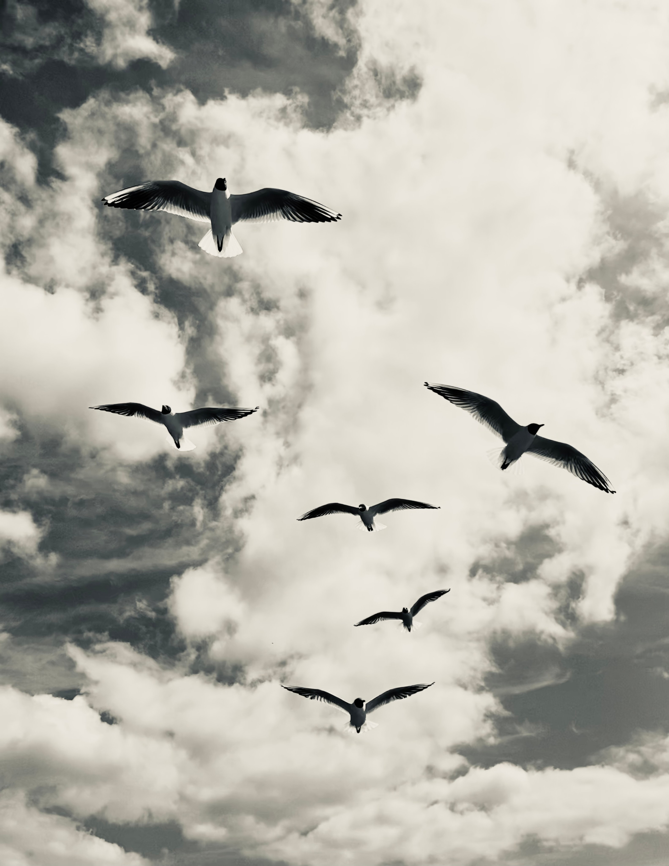 Пейзажи — авторская художественная фотография Ма. Ма