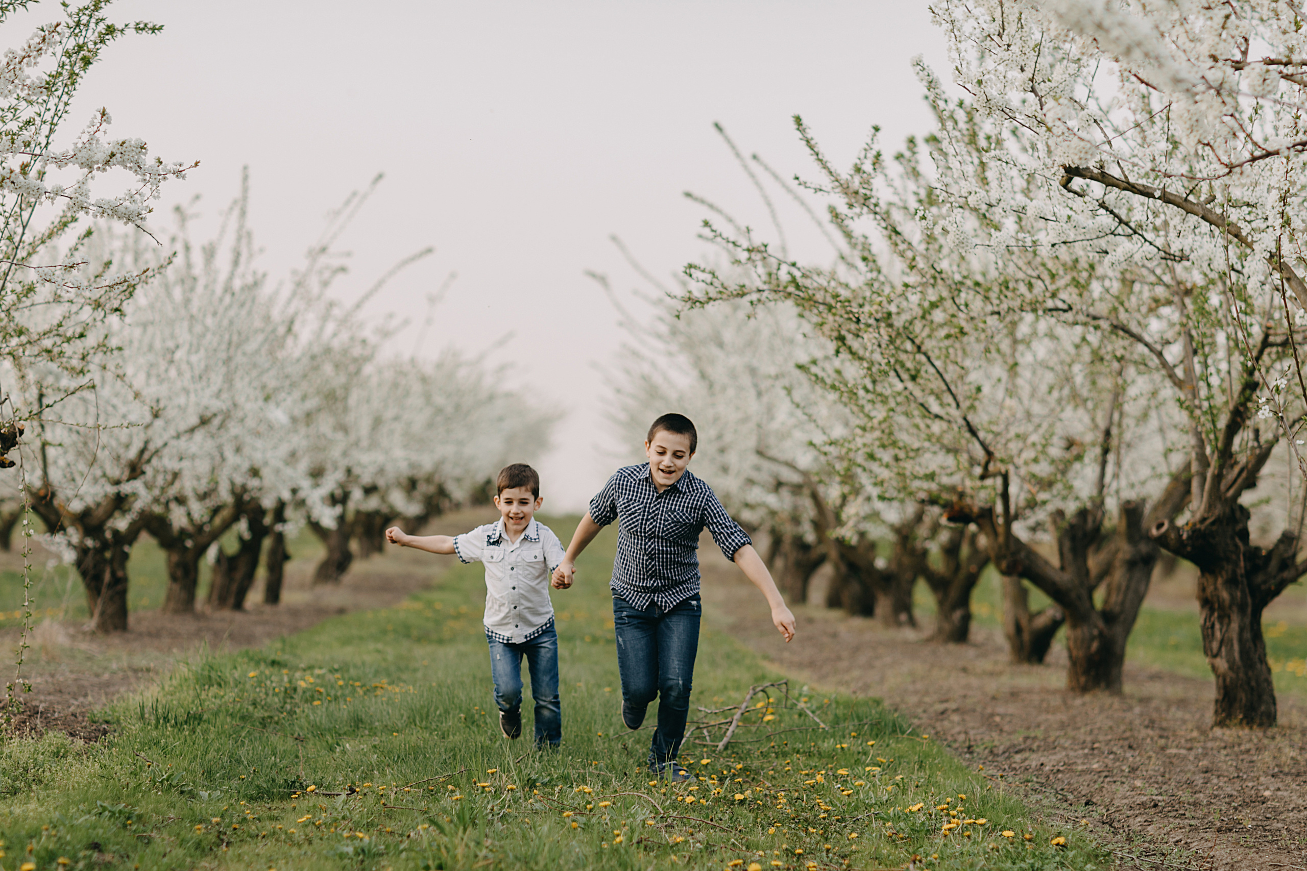 Фотосессия в весеннем саду