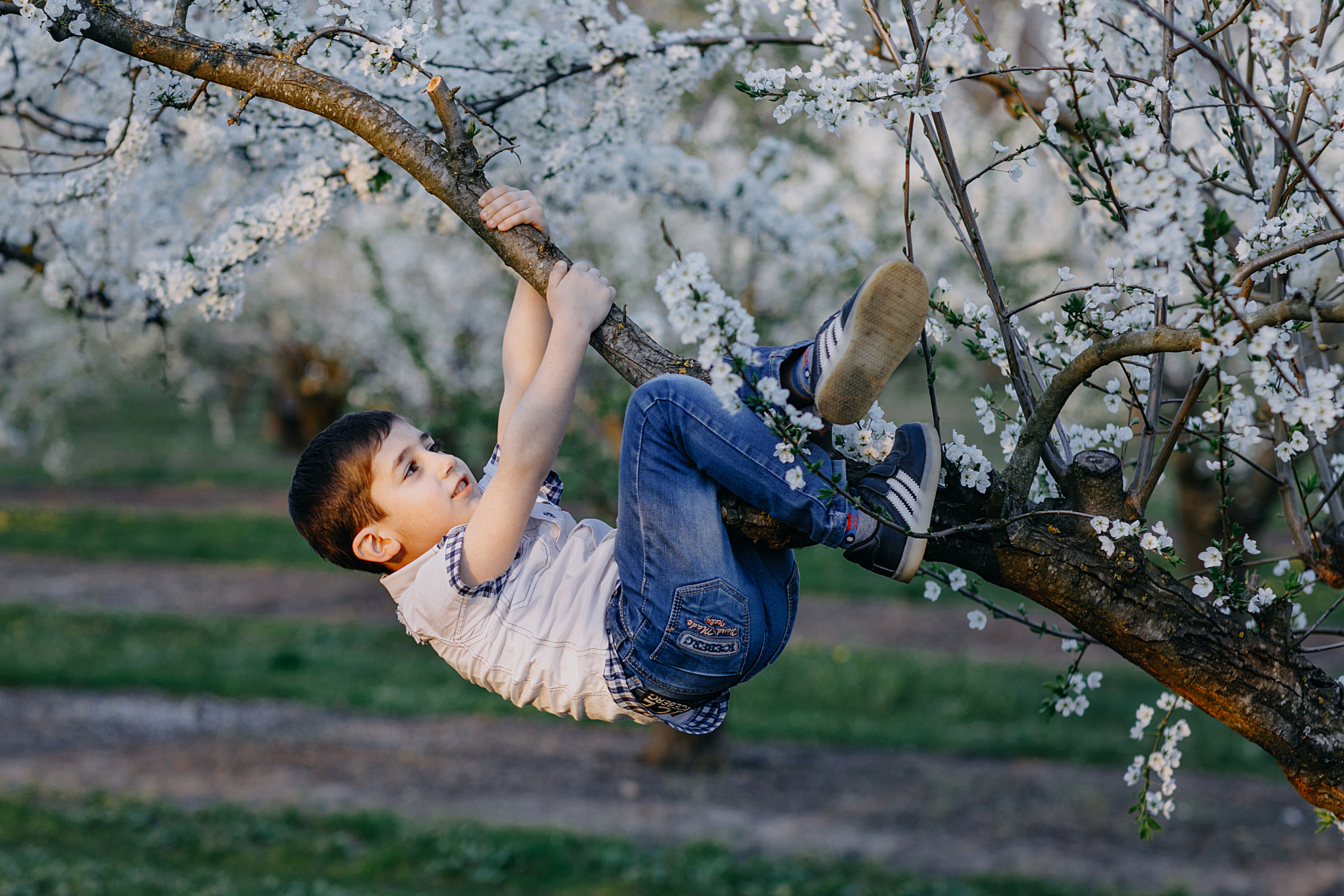 Фотосессия в весеннем саду