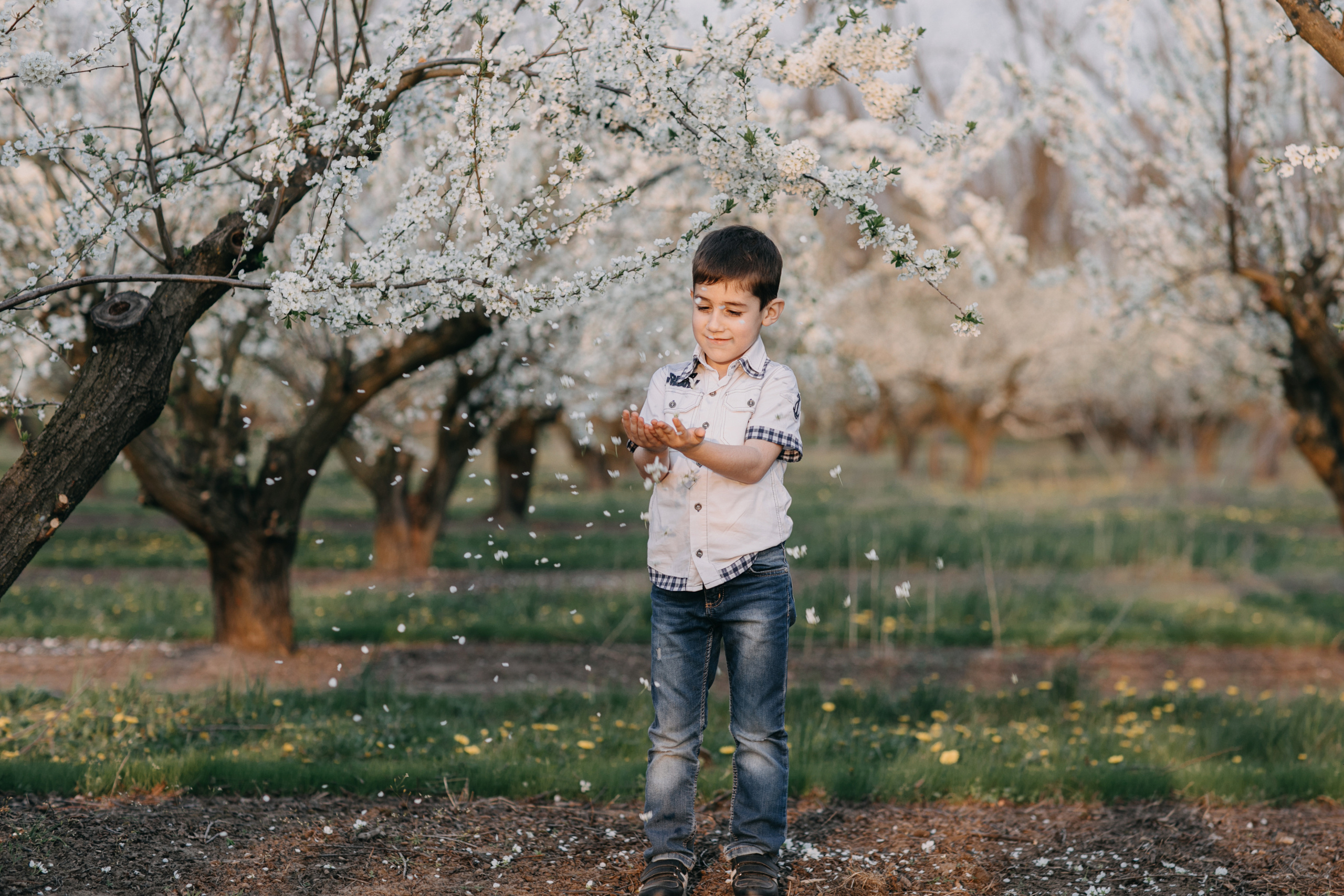 Фотосессия в весеннем саду