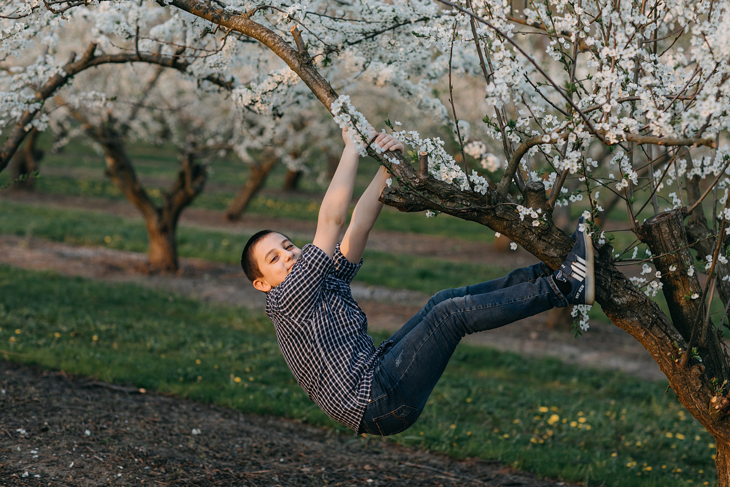 Фотосессия в весеннем саду