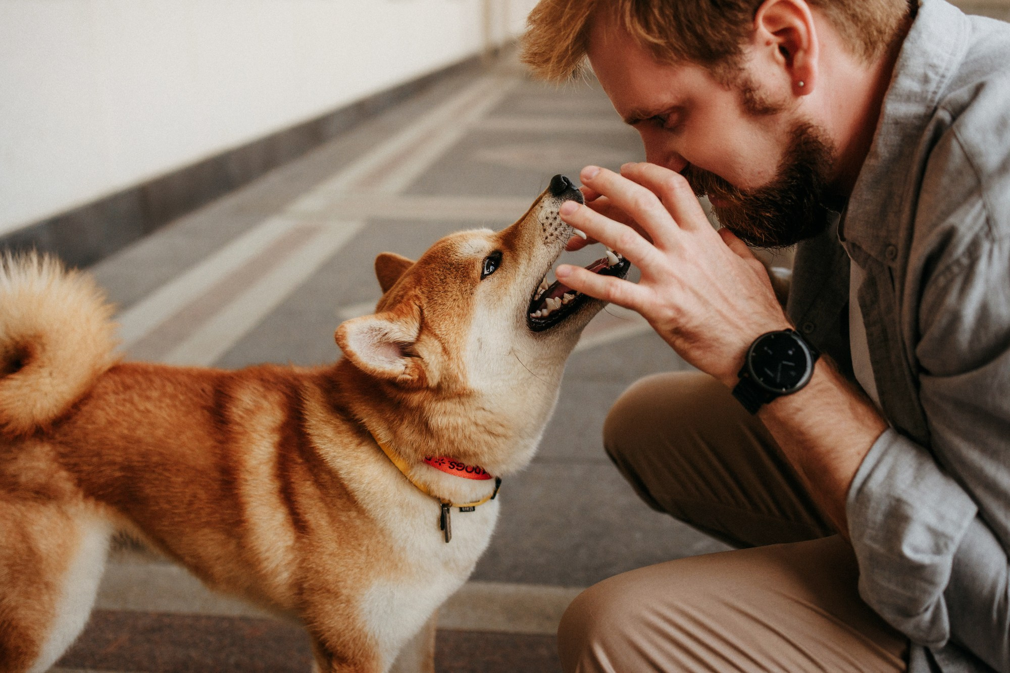Аня, Влад и Ики. Фотограф-анималист Елена Радченко, Москва