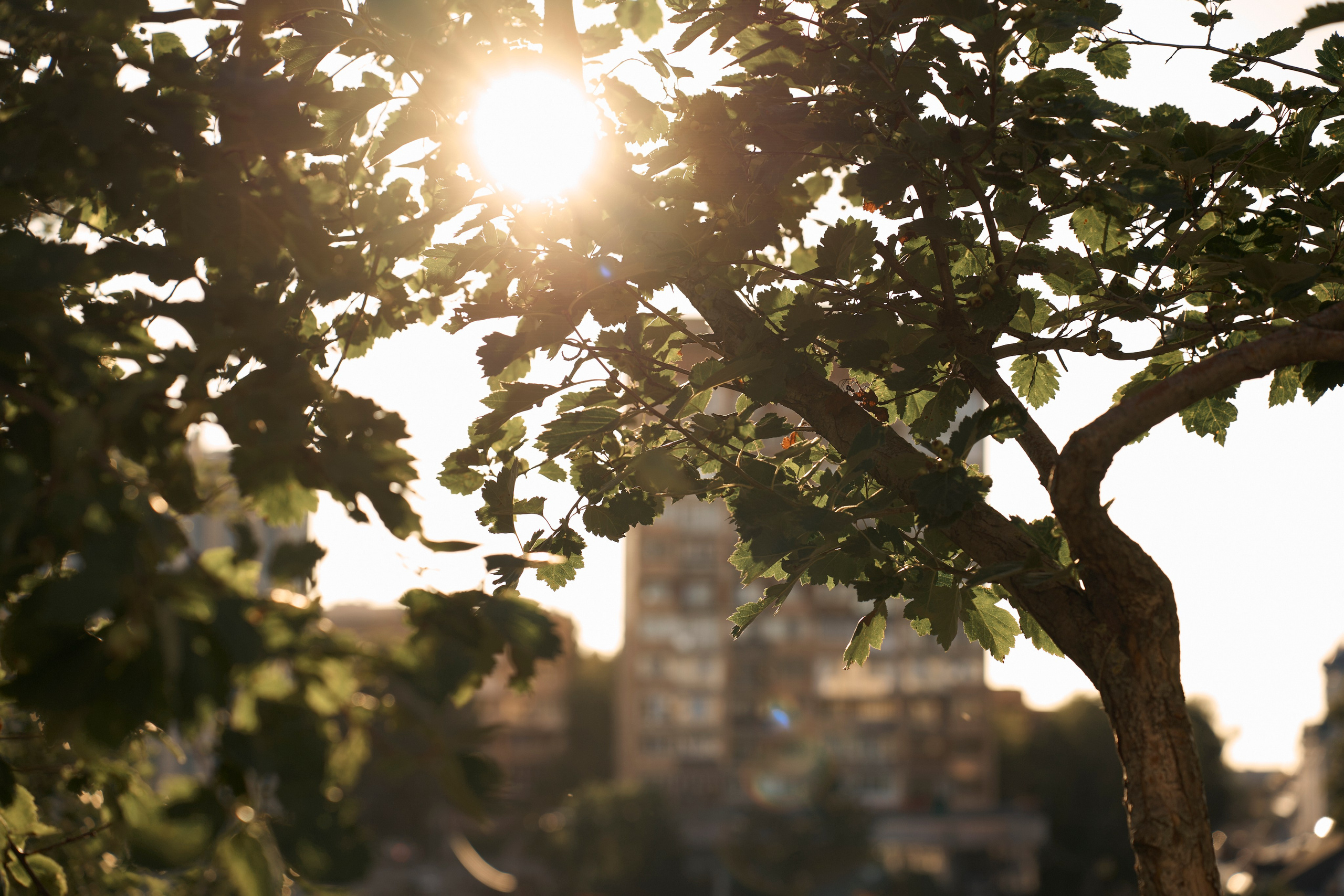 Екатерина. Ваш фотограф Анастасия Болотникова