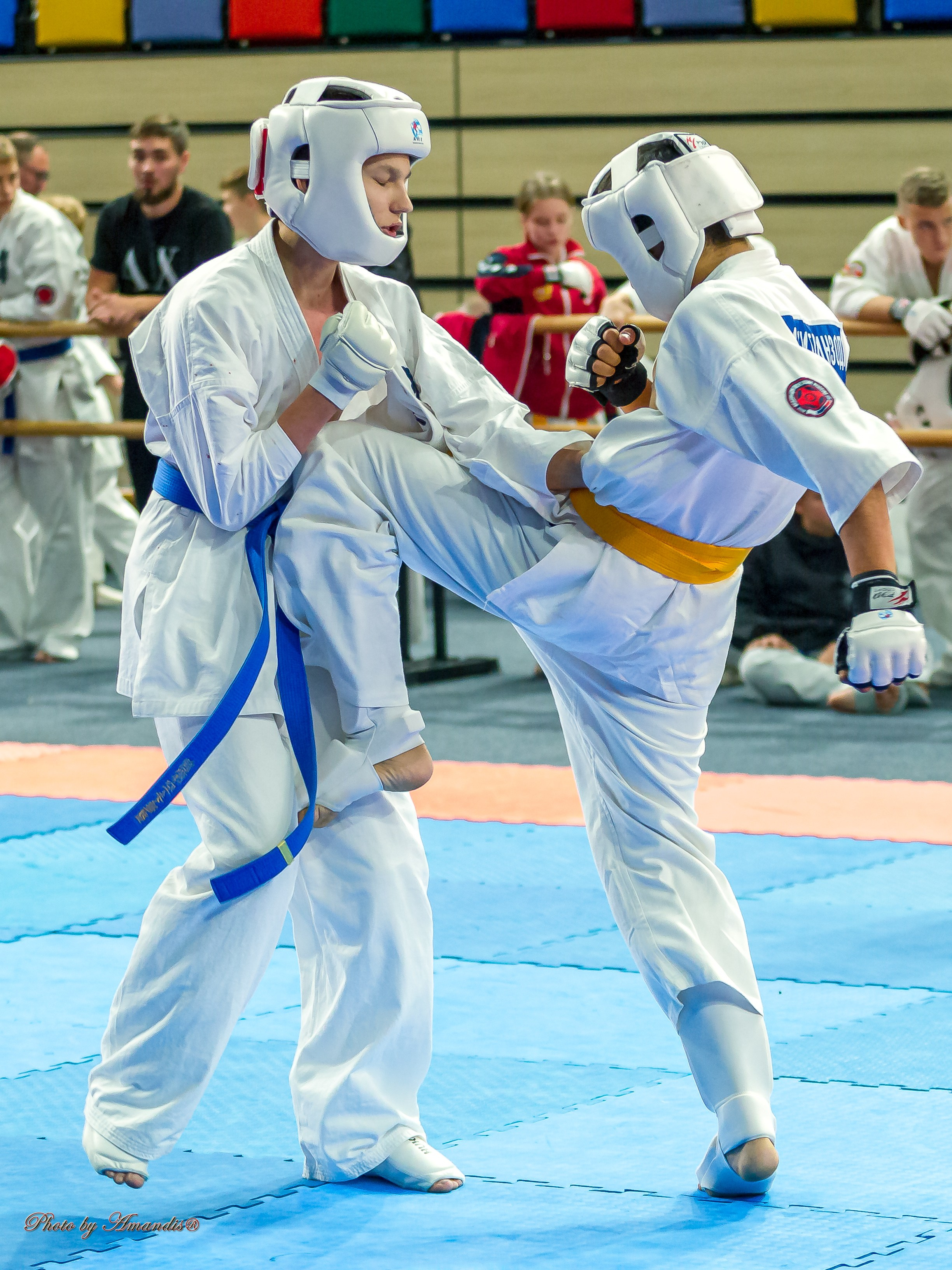 Первенство Московской области по Киокушин в СК «Жаворонки». Репортажная съемка в Москве и области. Анималистика