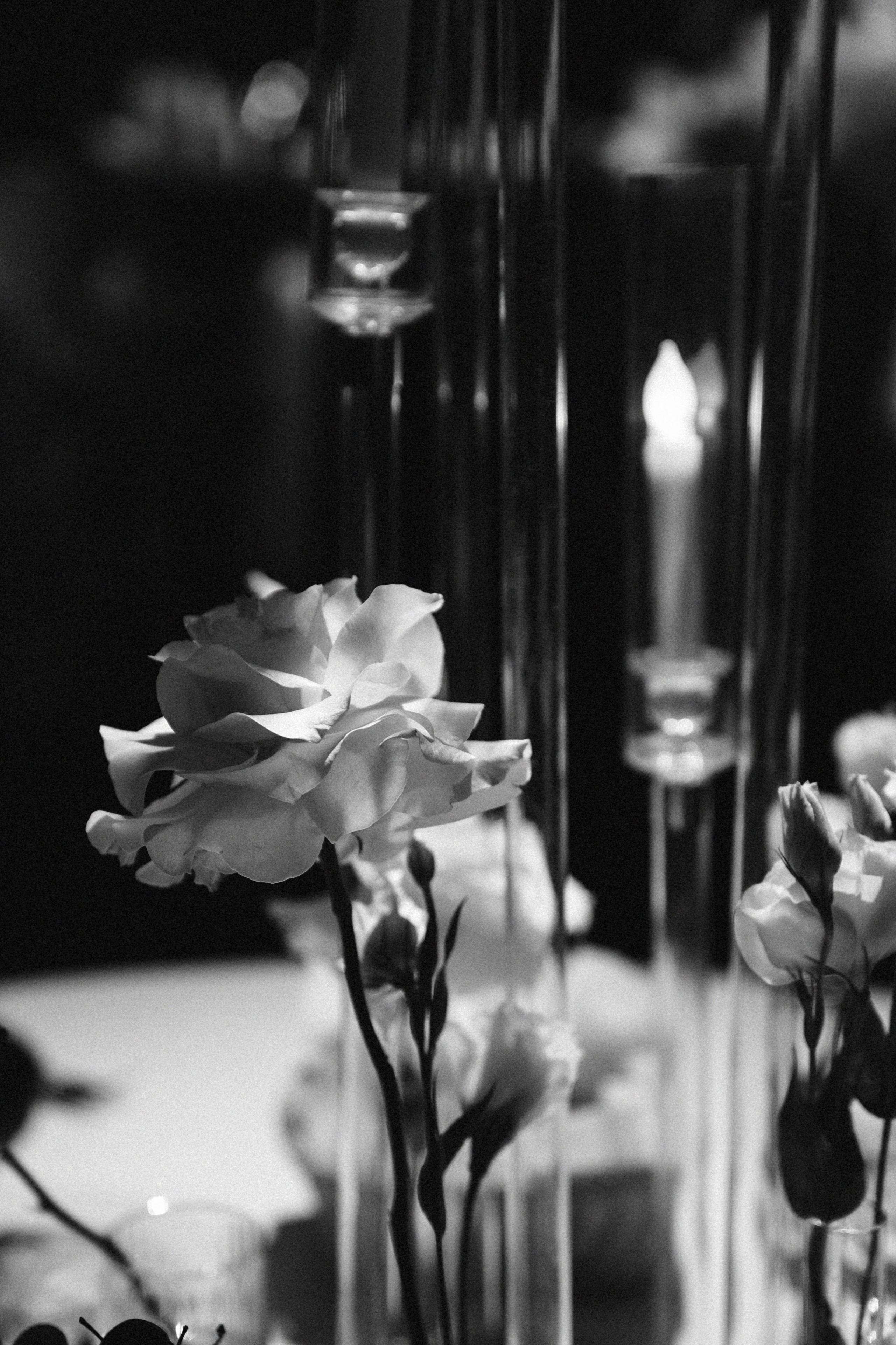 27/08/23. Фотограф Наталья Шелест