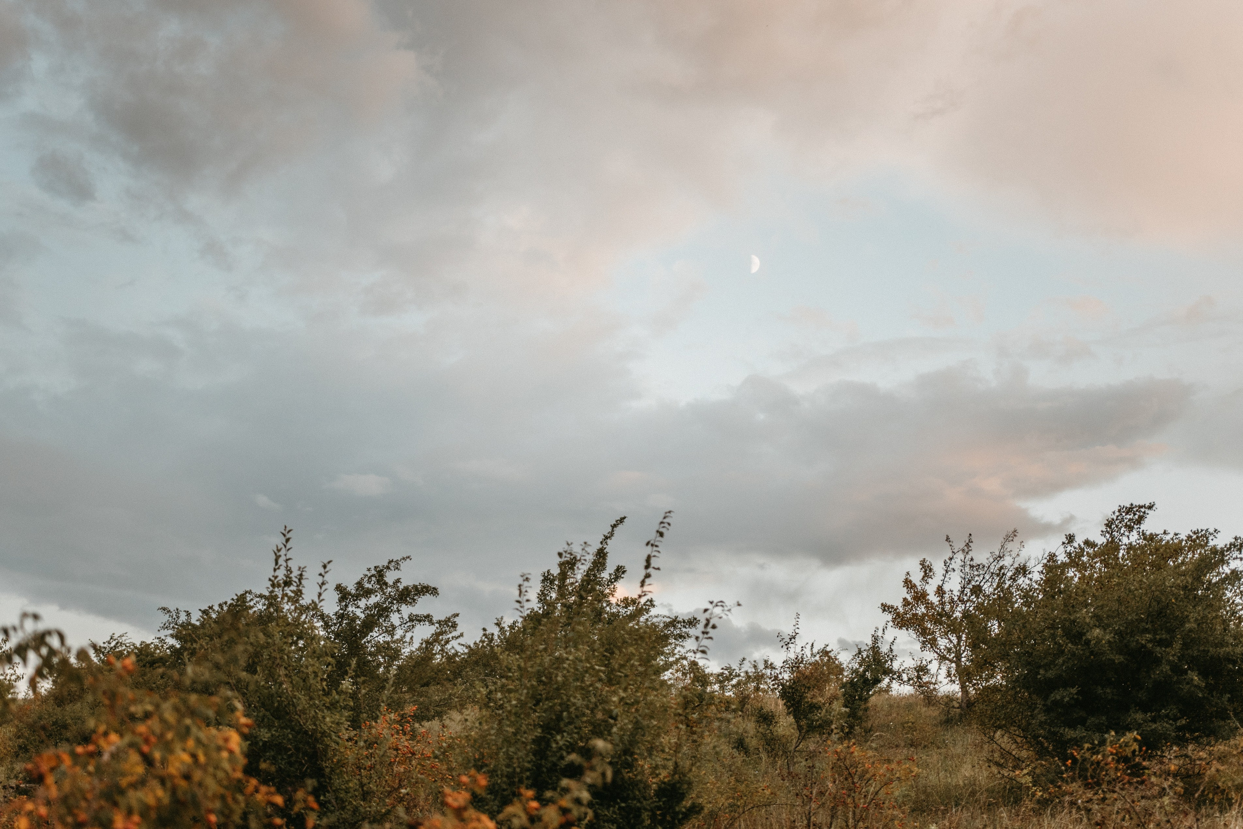 В ЛУЧАХ СОЛНЦА. Фотограф Настя Конник | Пятигорск | Эльбрус | Домбай | Архыз