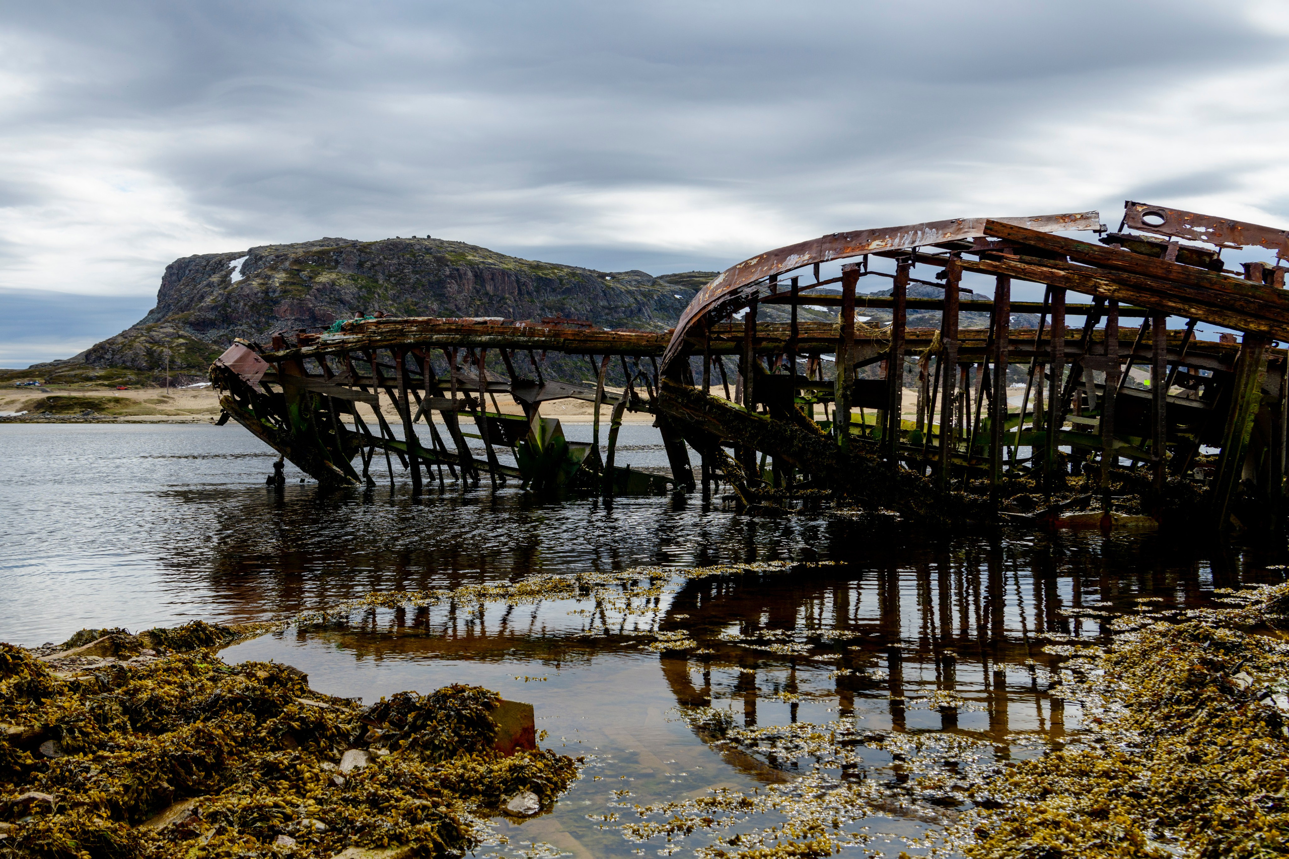 Мурманская область. Июнь 2024. Фотограф Сергей Пупонин
