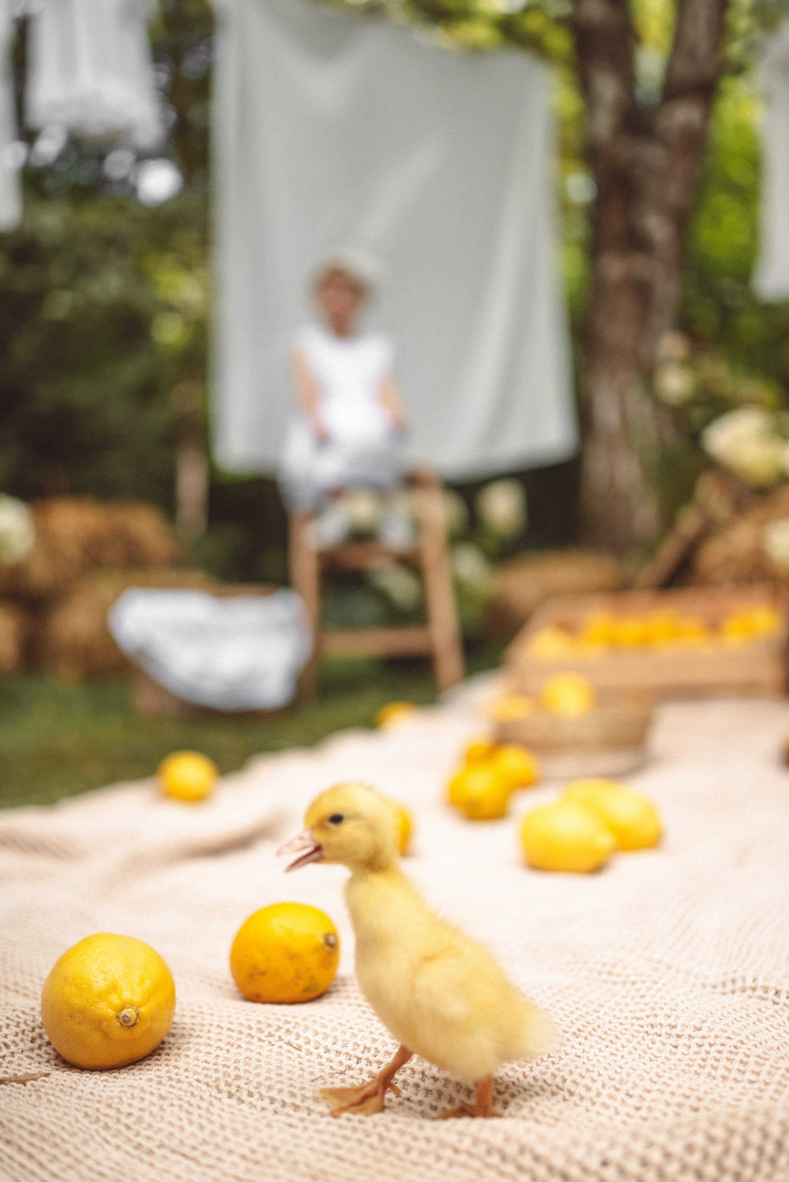 Утиная история. Семейный и детский фотограф в Москве Князева Диана