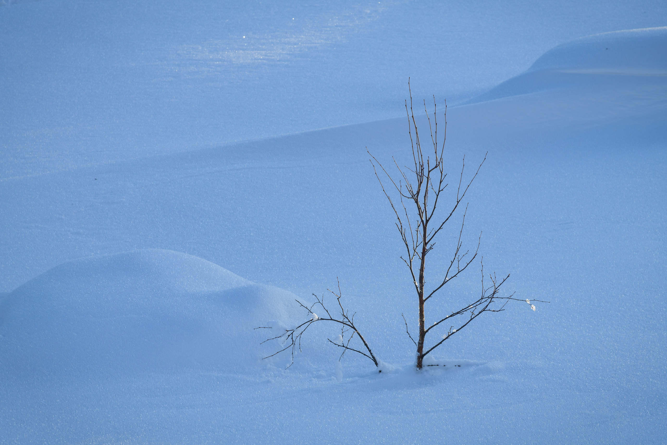 Зима. Северные Ночи